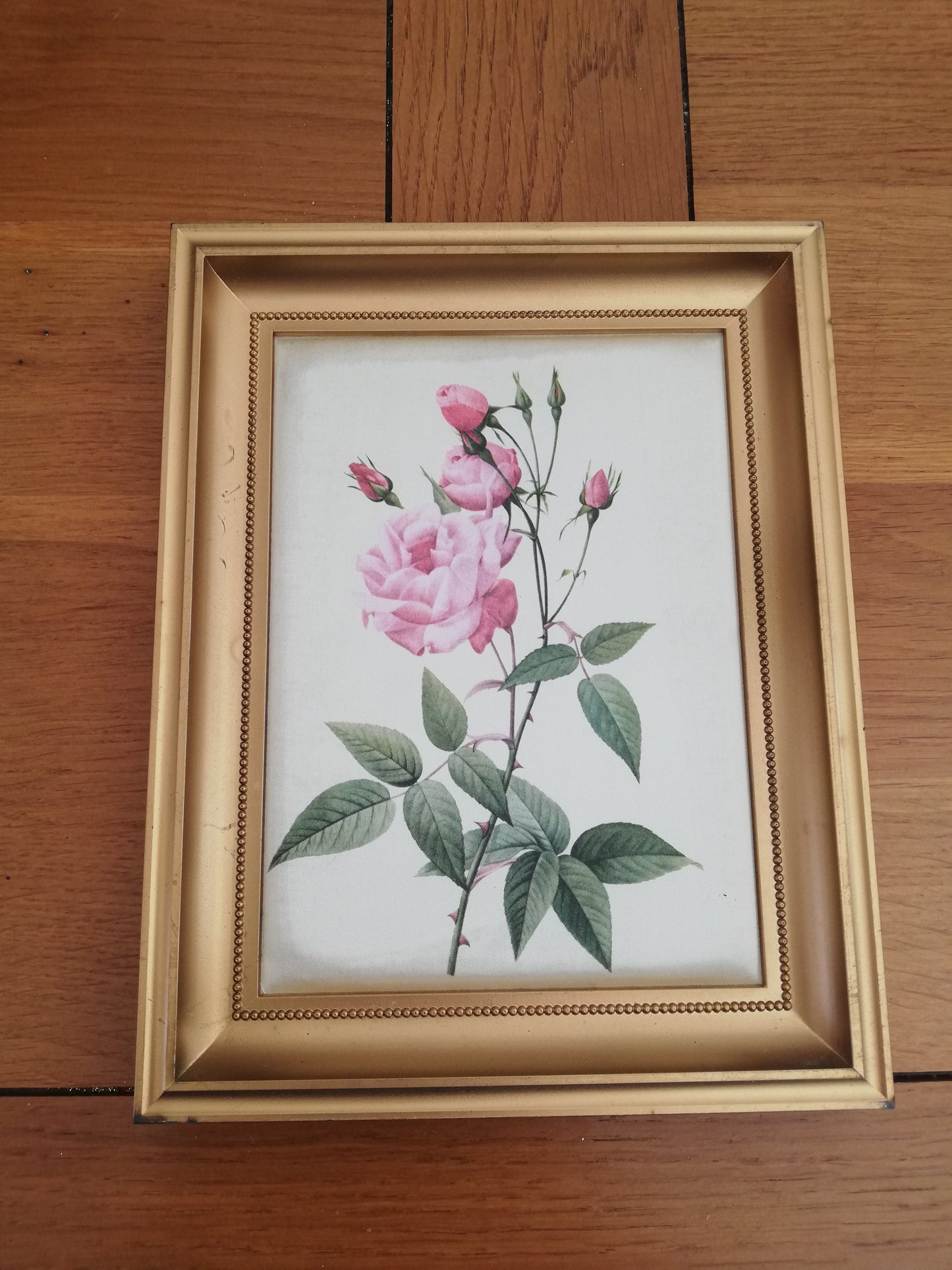 Cadre Vintage Rose Redoute