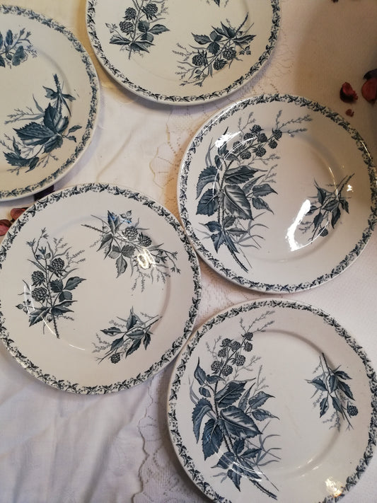 Brombeer-Dessertteller von Badonviller