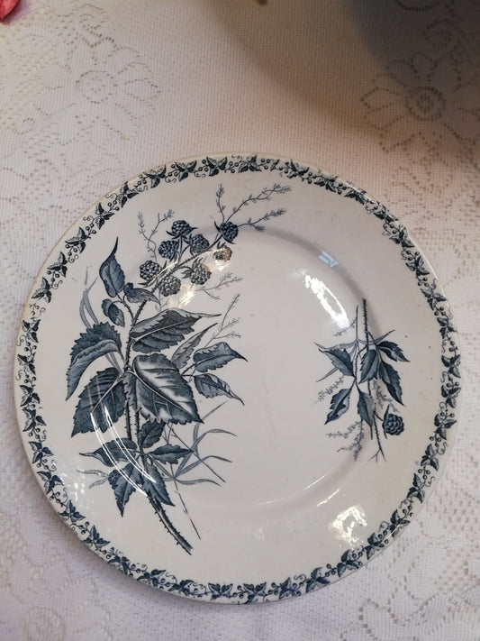 Brombeer-Dessertteller von Badonviller