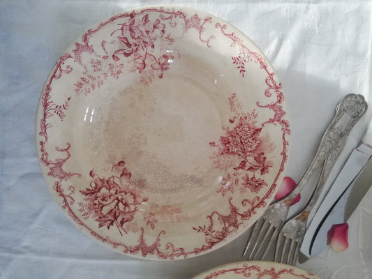 floreal terre de fer rose rouge