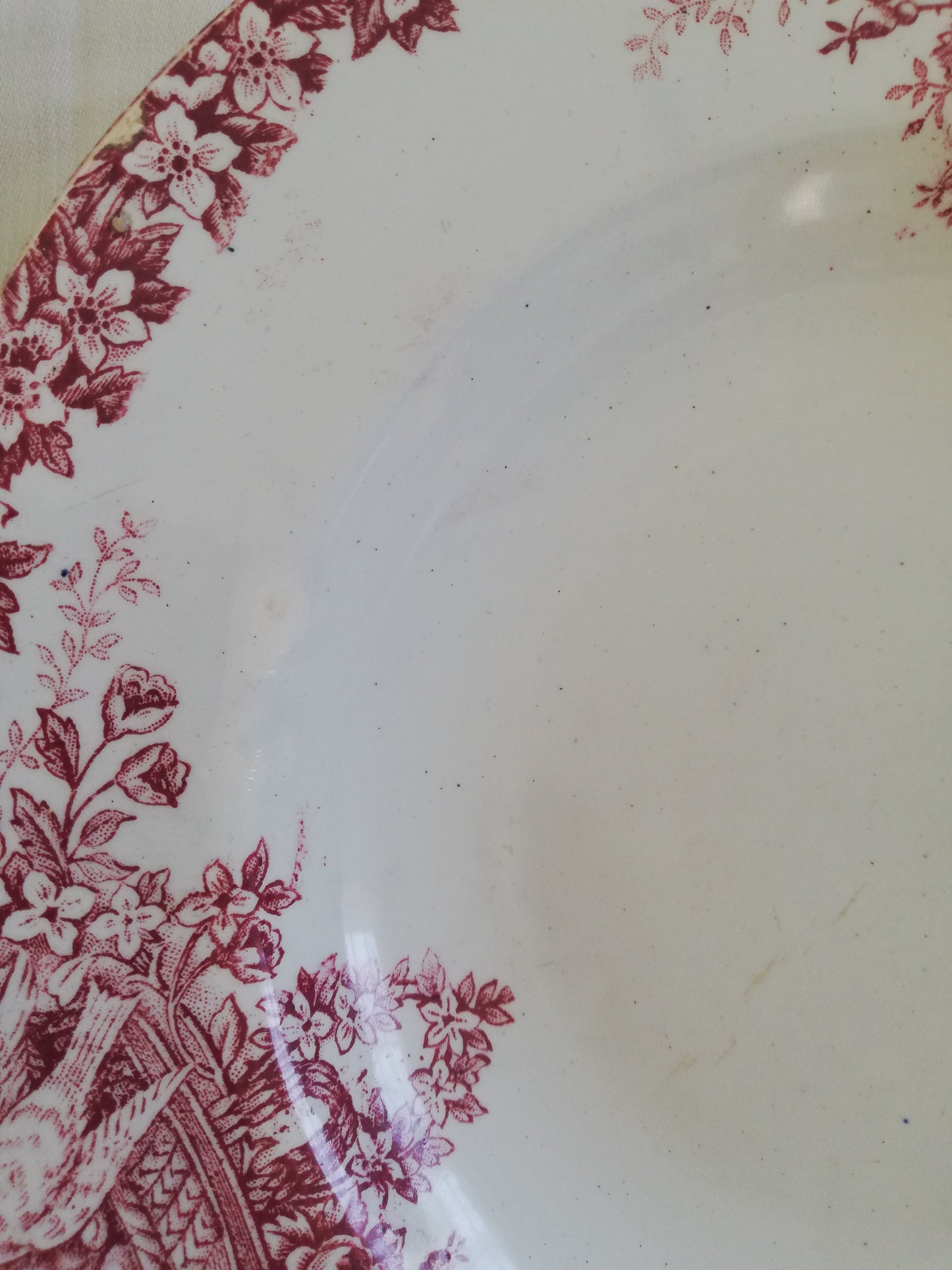 Assiette Colombier Saint Amand