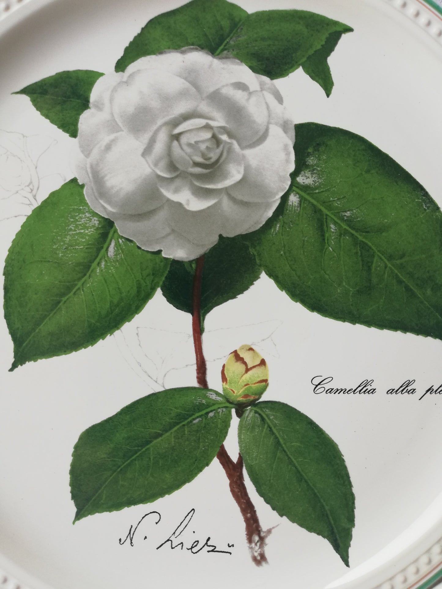 Assiette Villeroy et Boch Caméllia