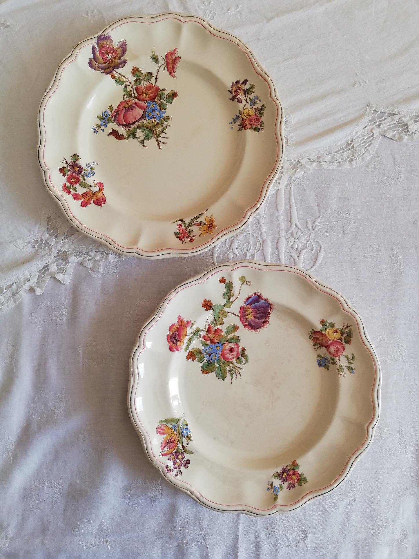 Assiettes longchamp terre de fer fleurs