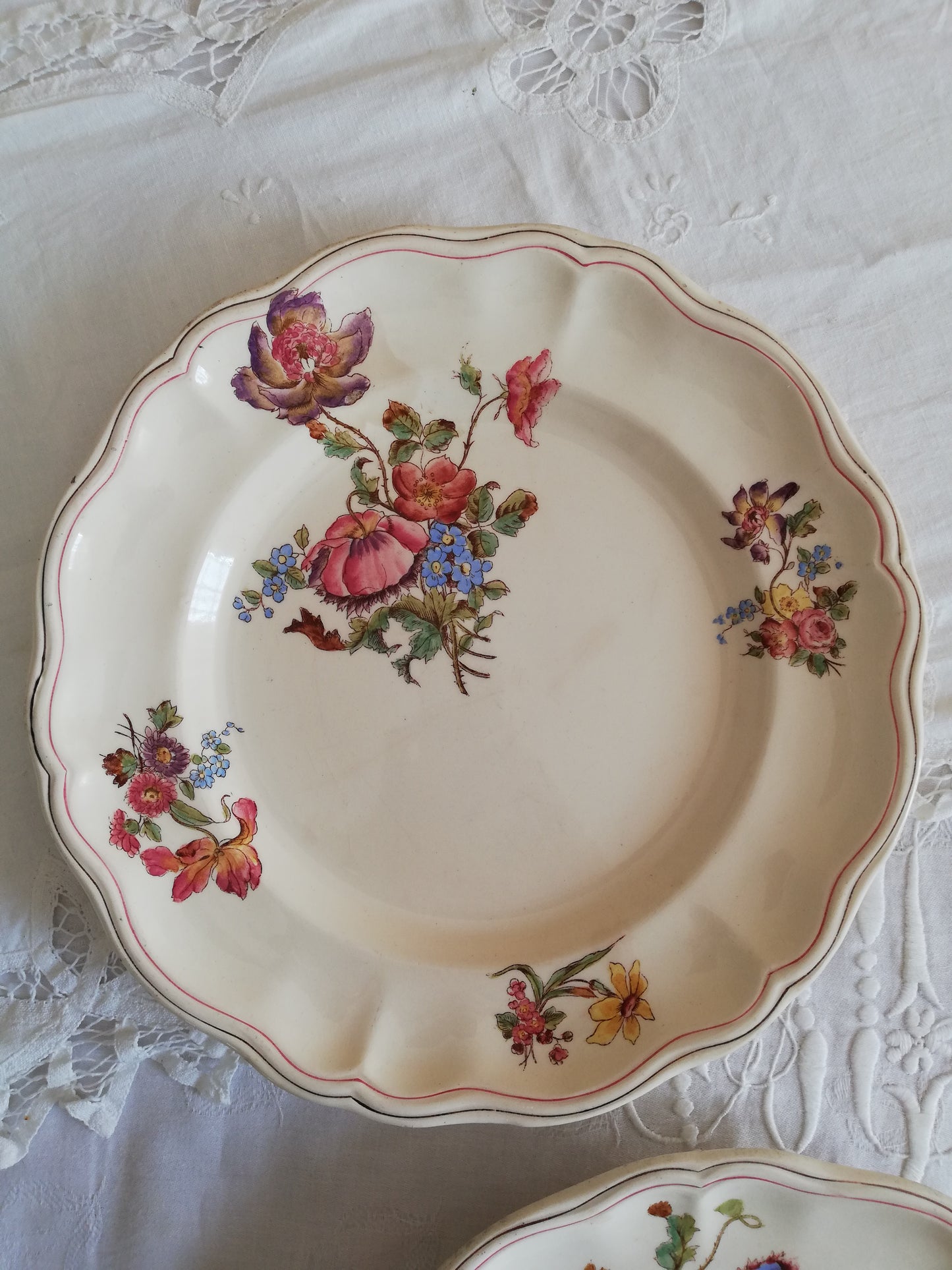 Assiettes longchamp terre de fer fleurs