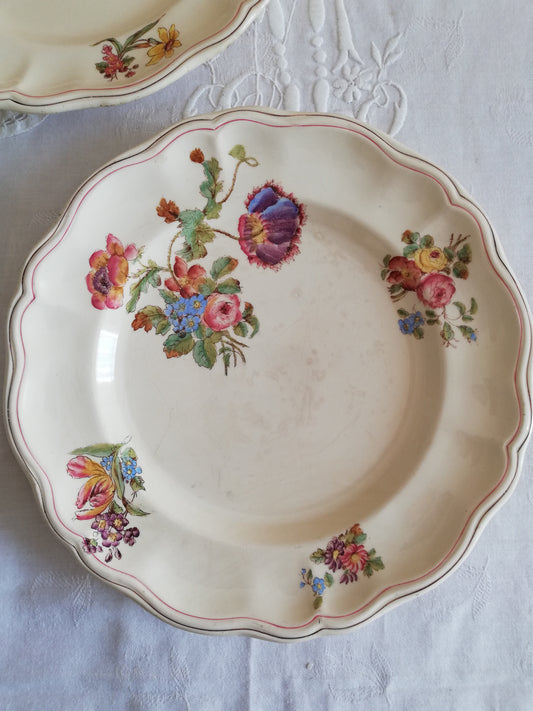 Assiettes longchamp terre de fer fleurs