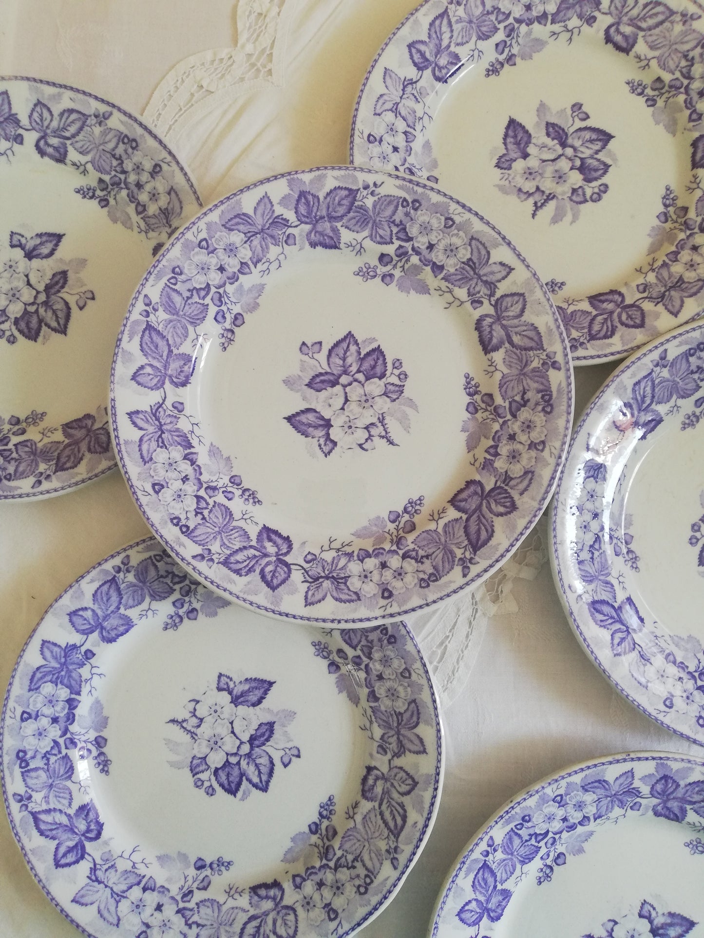 Assiette Ronce Terre de fer Violette BFK