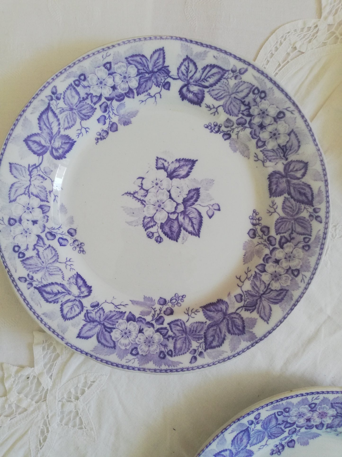 Assiette Ronce Terre de fer Violette BFK