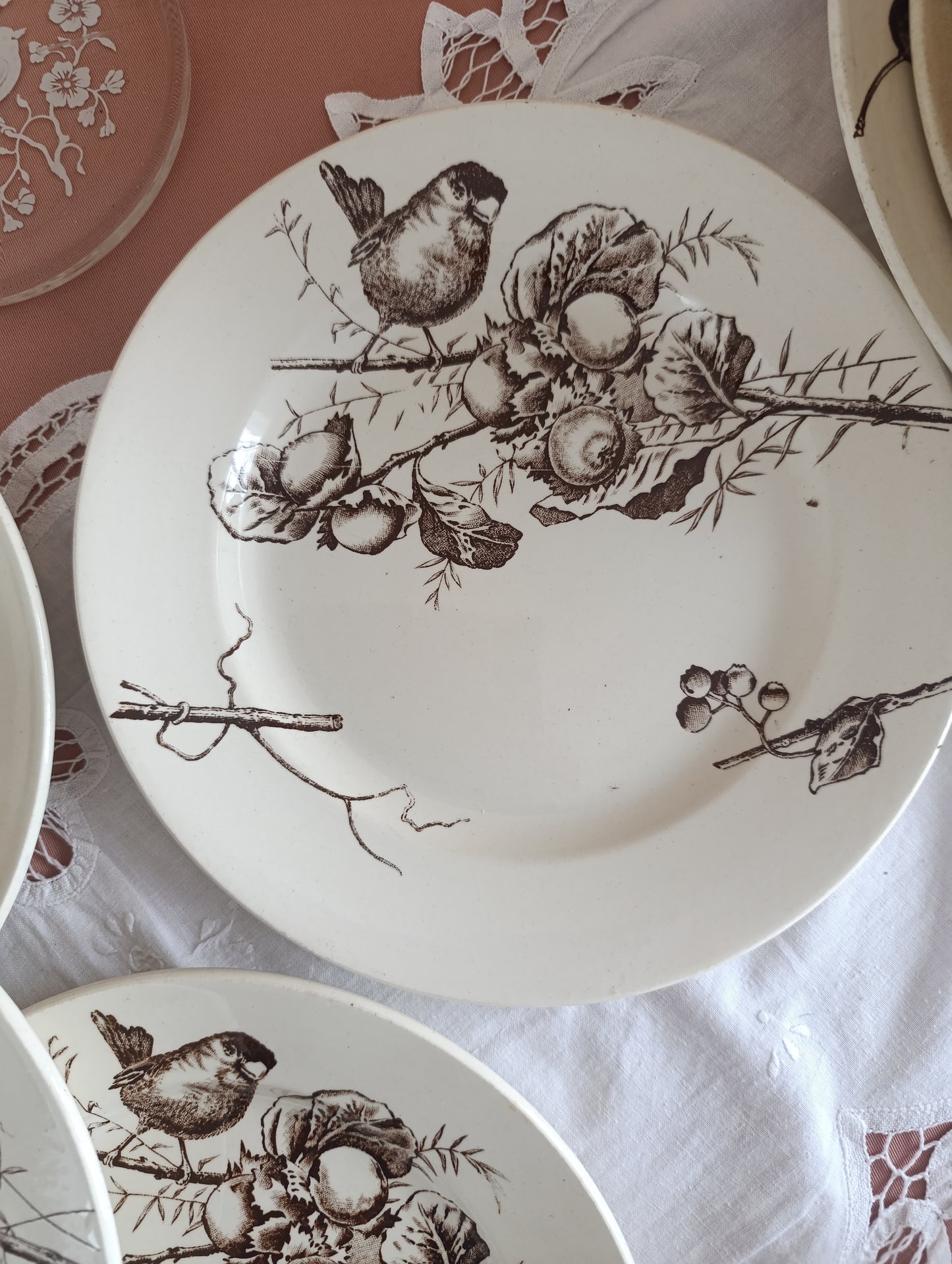 Assiette Oiseaux HB Choisy le Roi