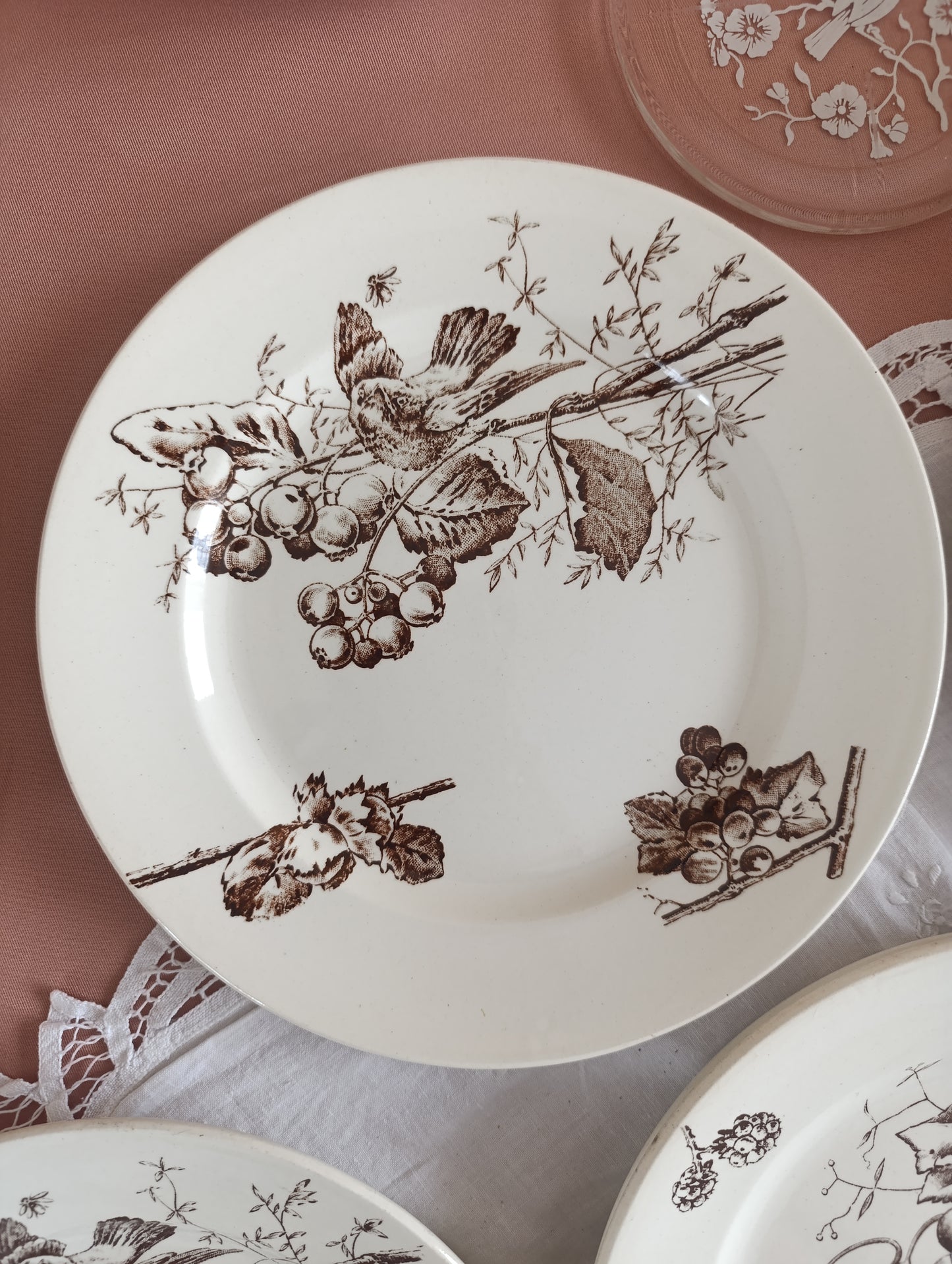 Assiette Oiseaux HB Choisy le Roi