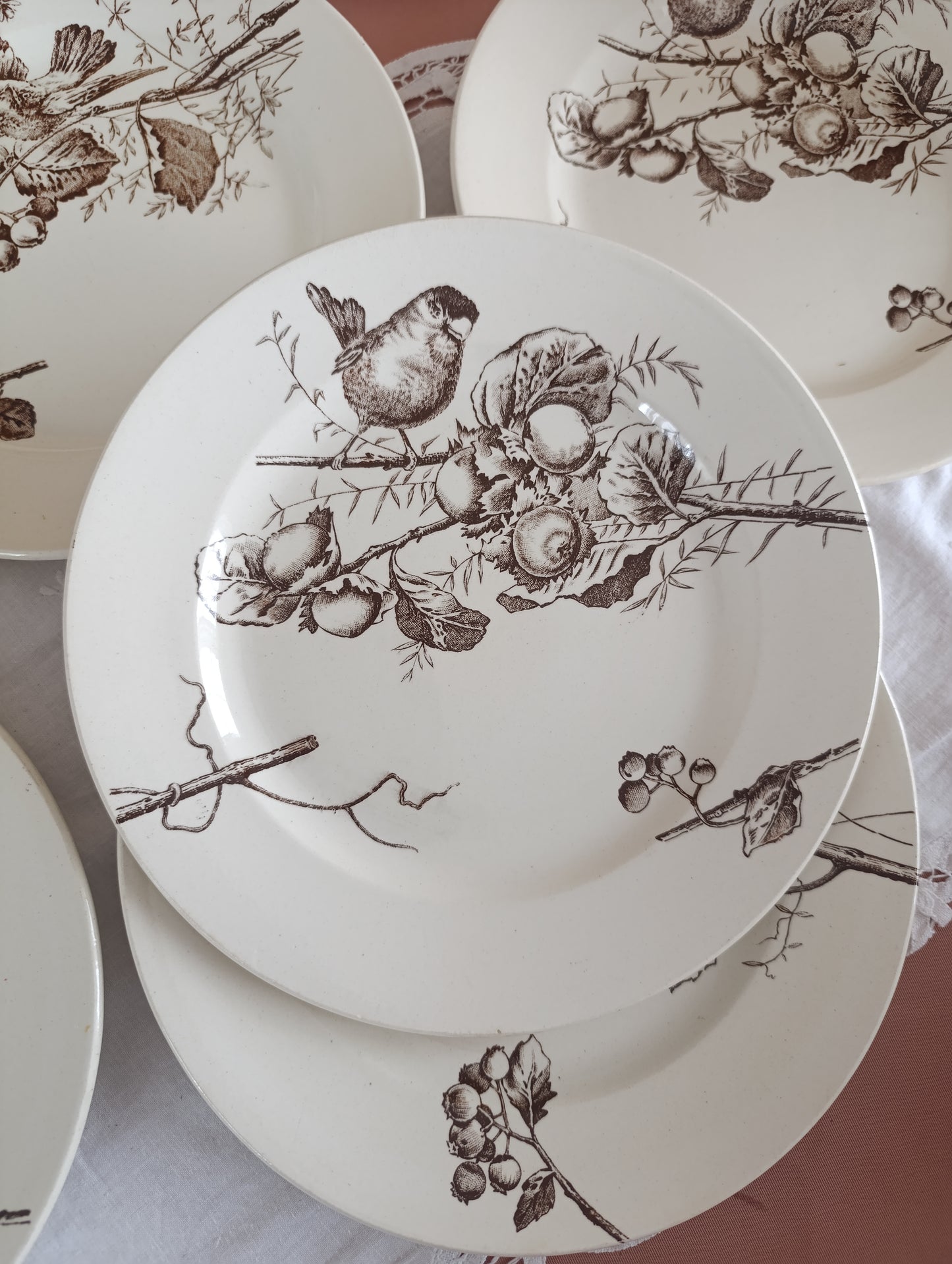 Assiette Oiseaux HB Choisy le Roi