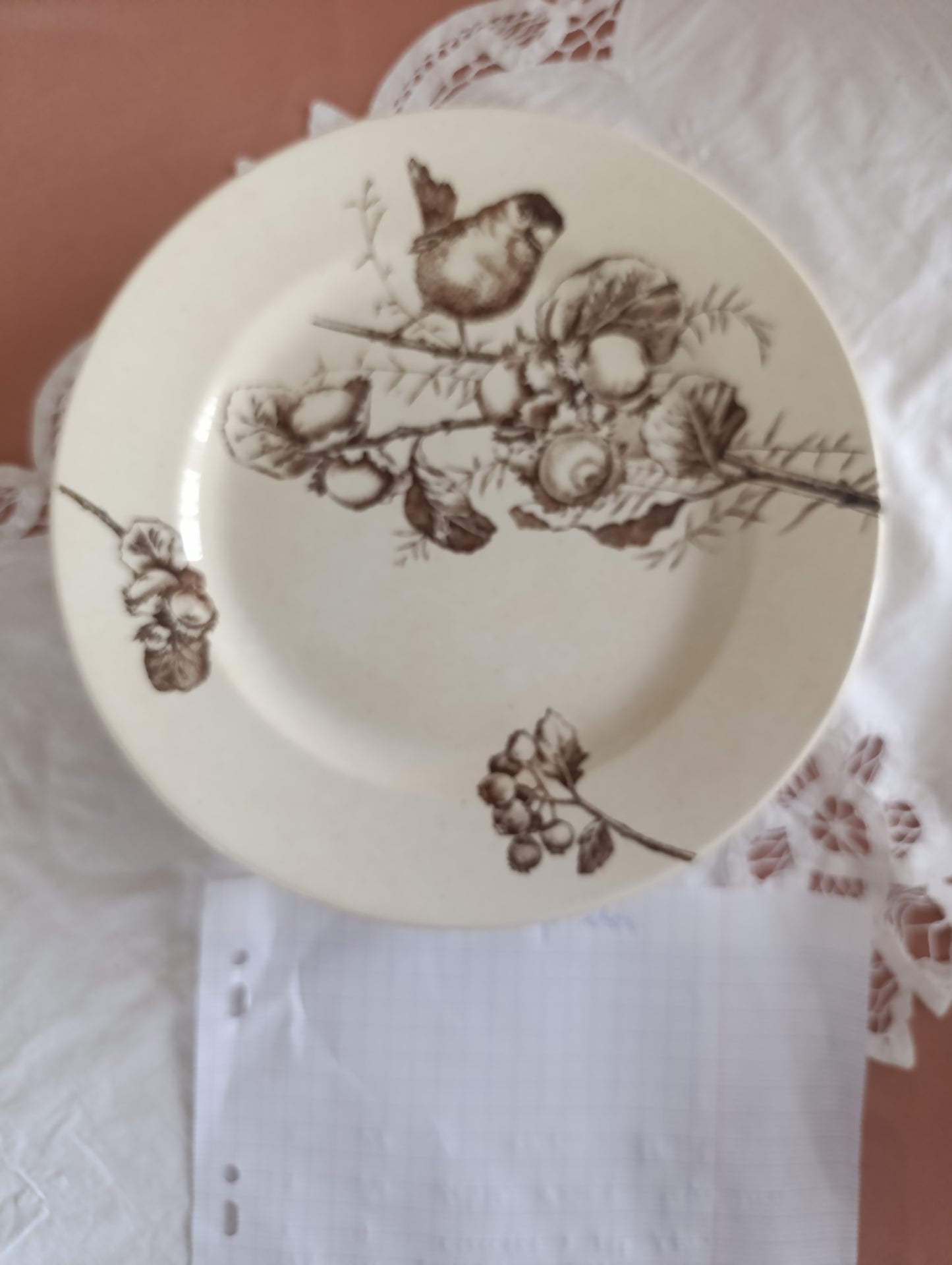 Assiette Oiseaux HB Choisy le Roi