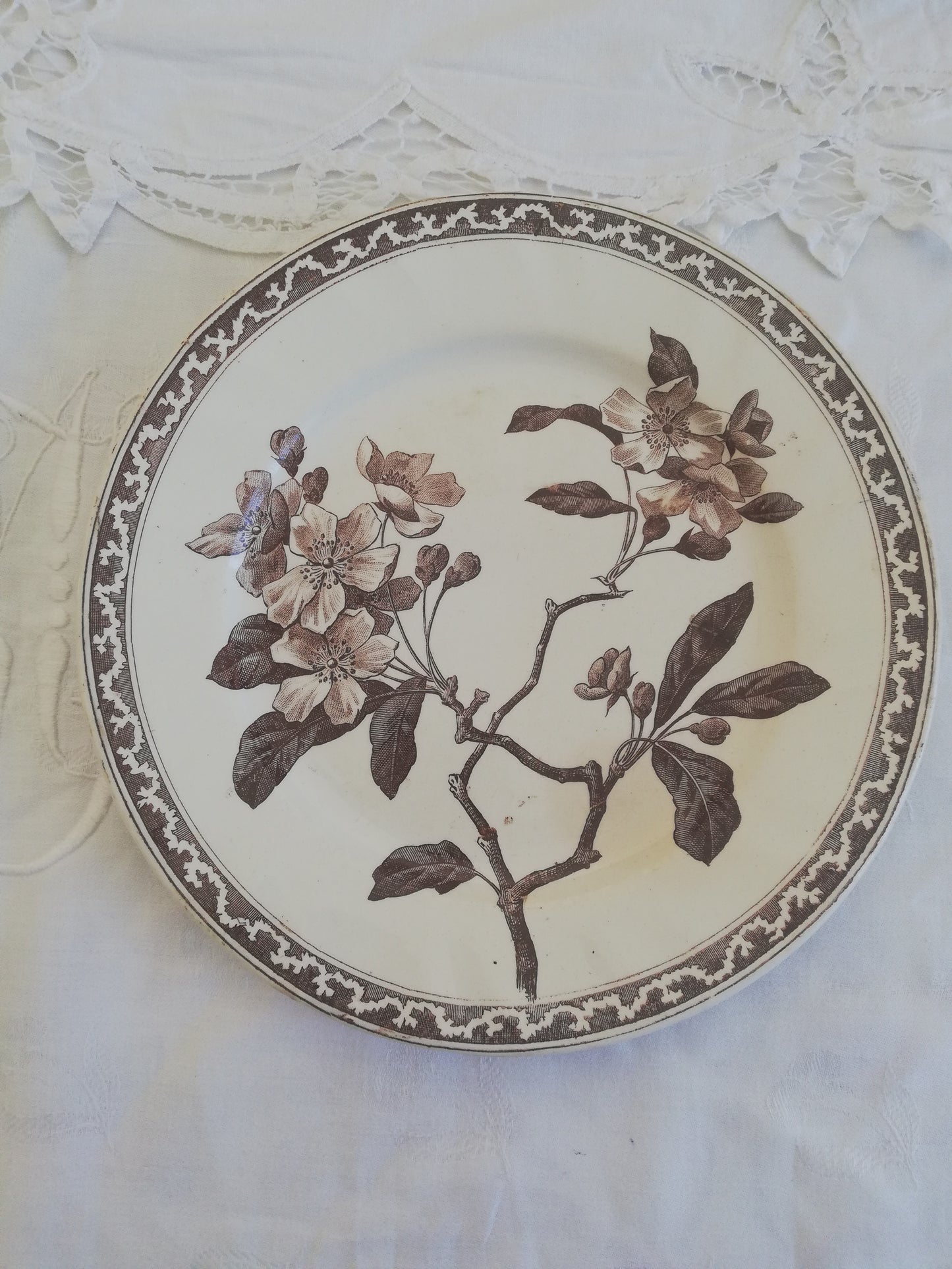 Assiette Creil et Montereau Fleur de Pommier 21 cm