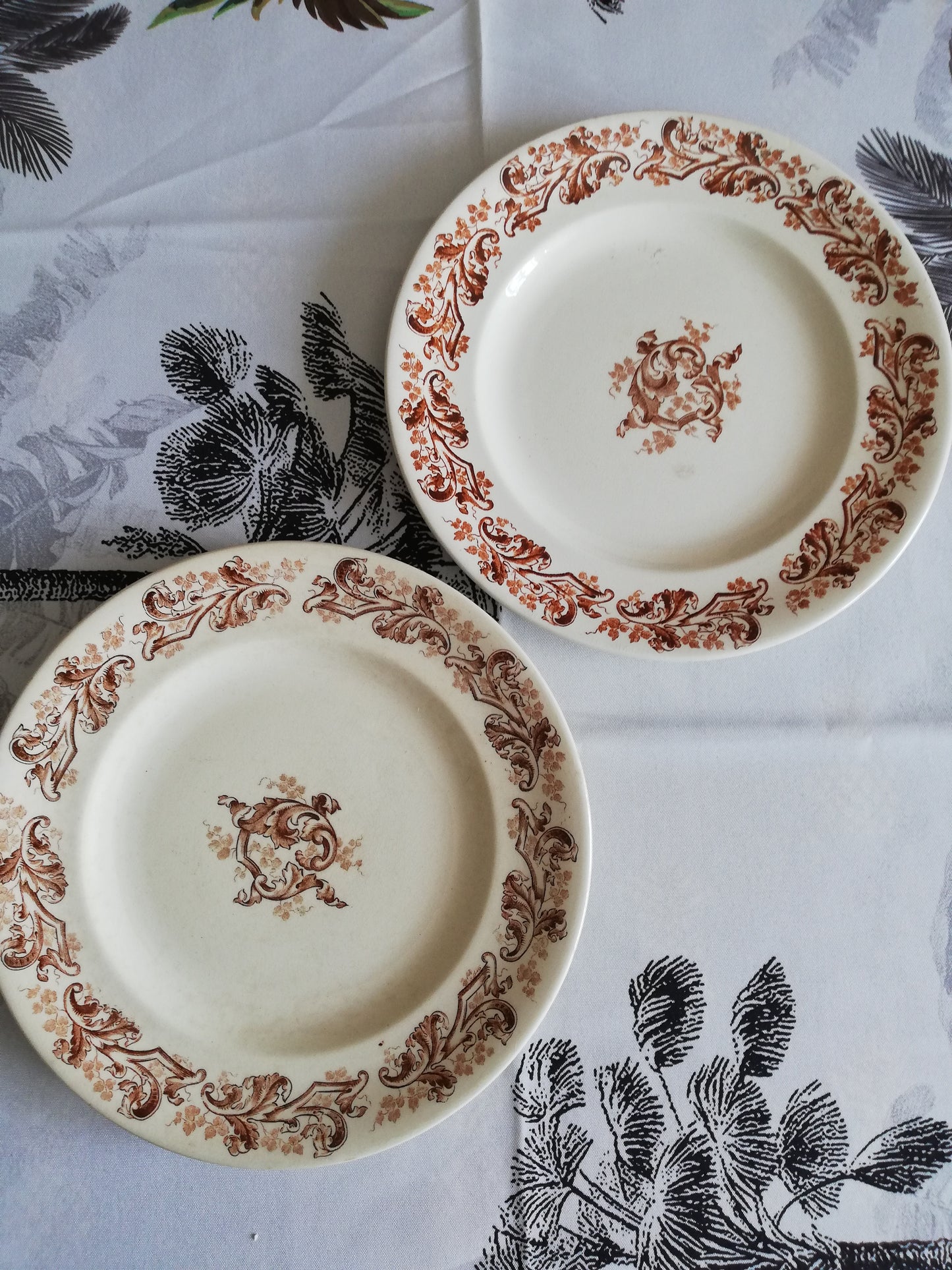 Assiette Russe Longwy