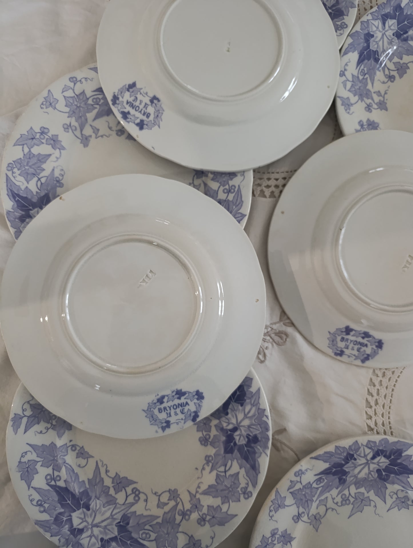 Assiette dessert Bryonia