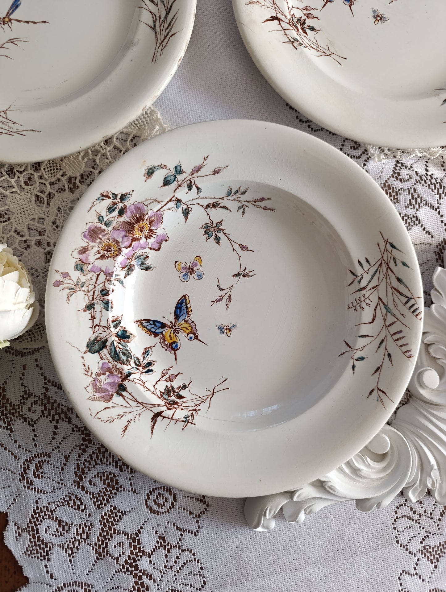 Assiette terre de fer Fleurs des champs SG Clairefontaine