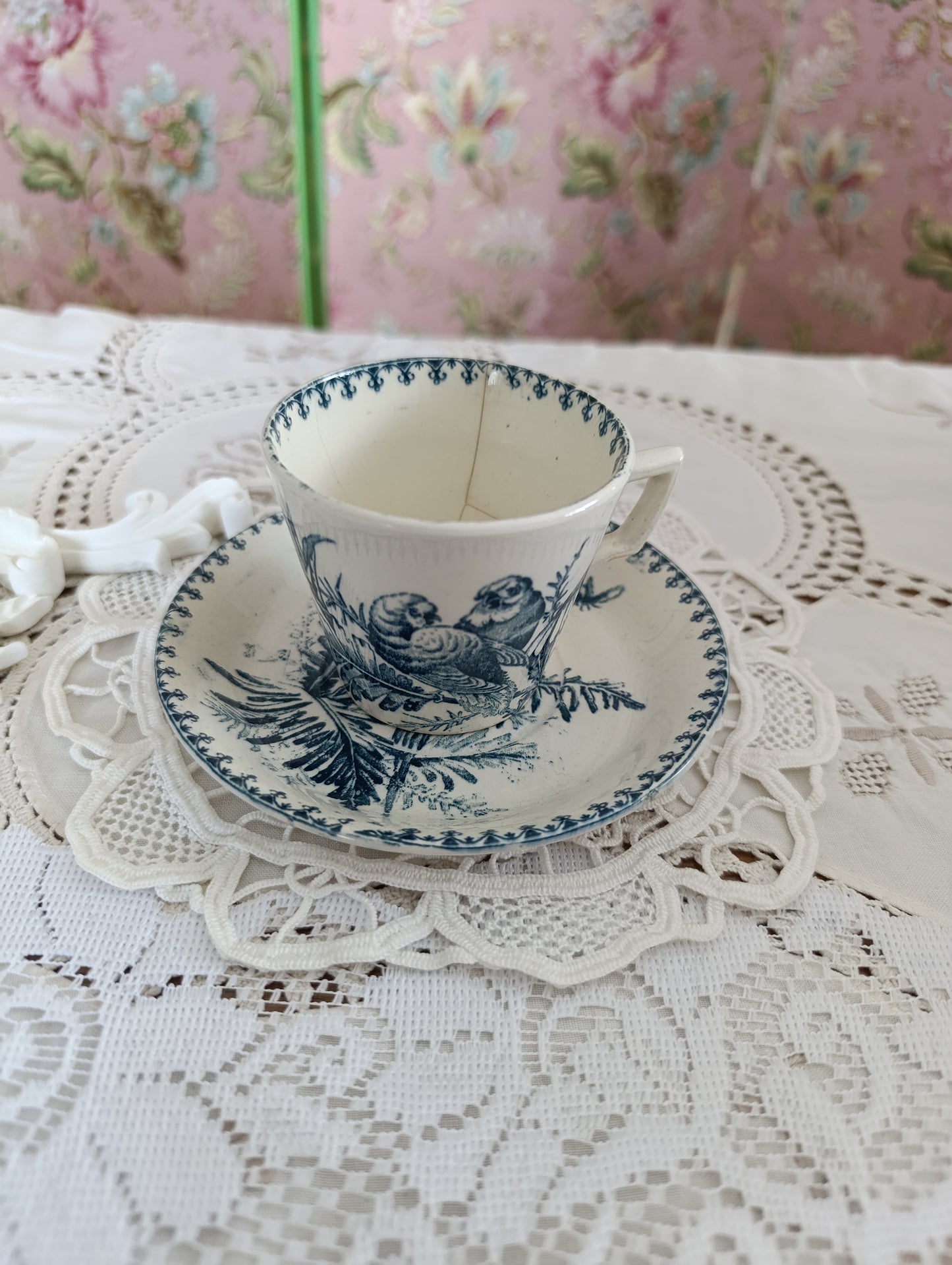 Tasse perruche KG Luneville