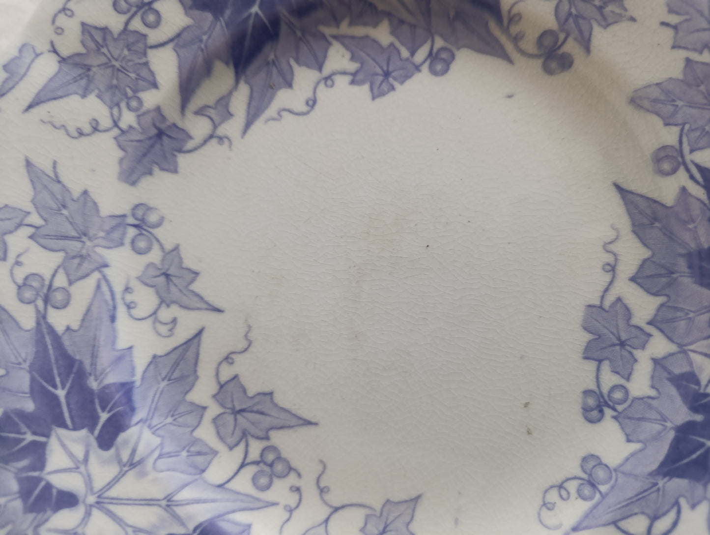 Assiette dessert Bryonia