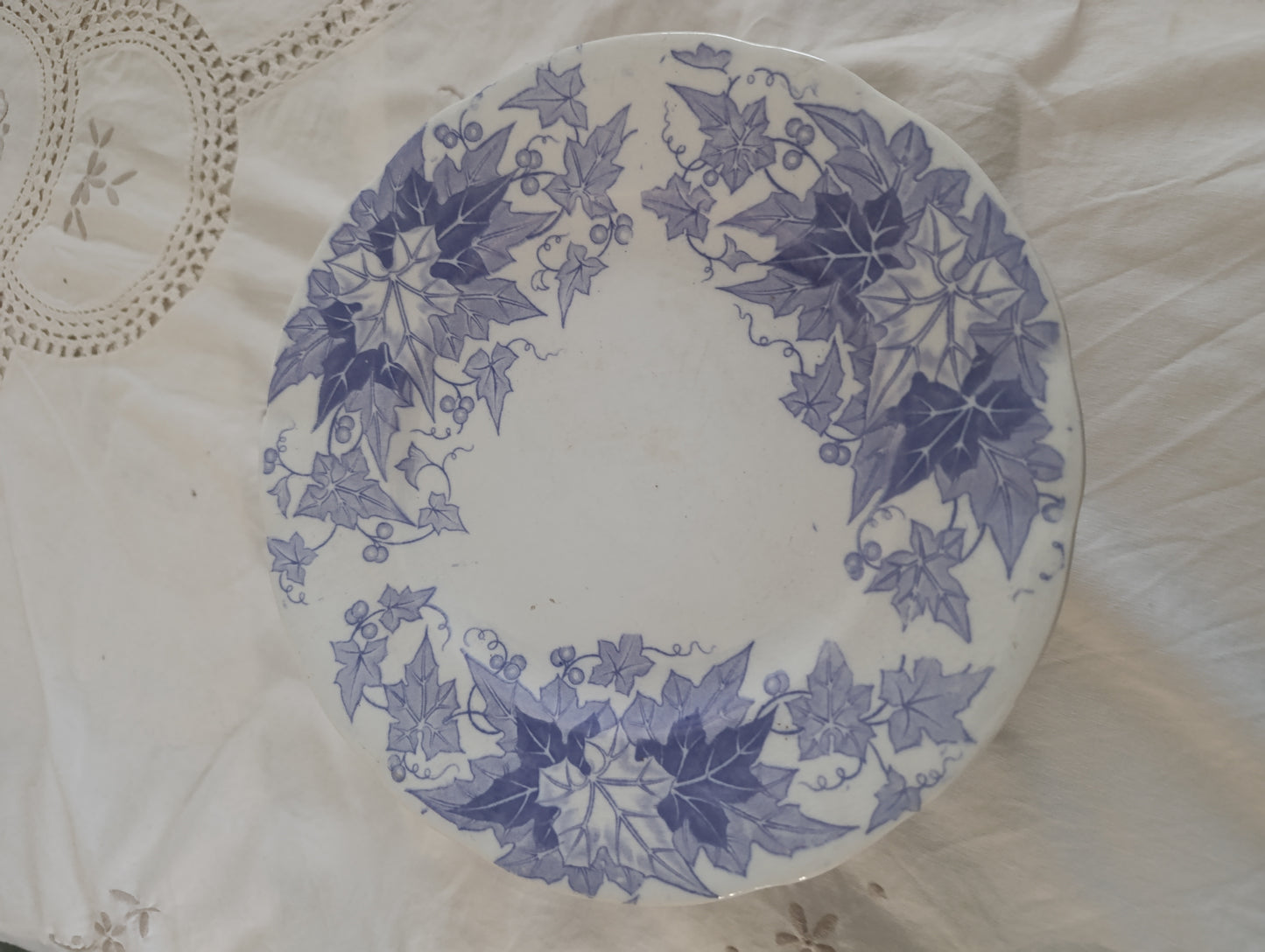 Assiette dessert Bryonia