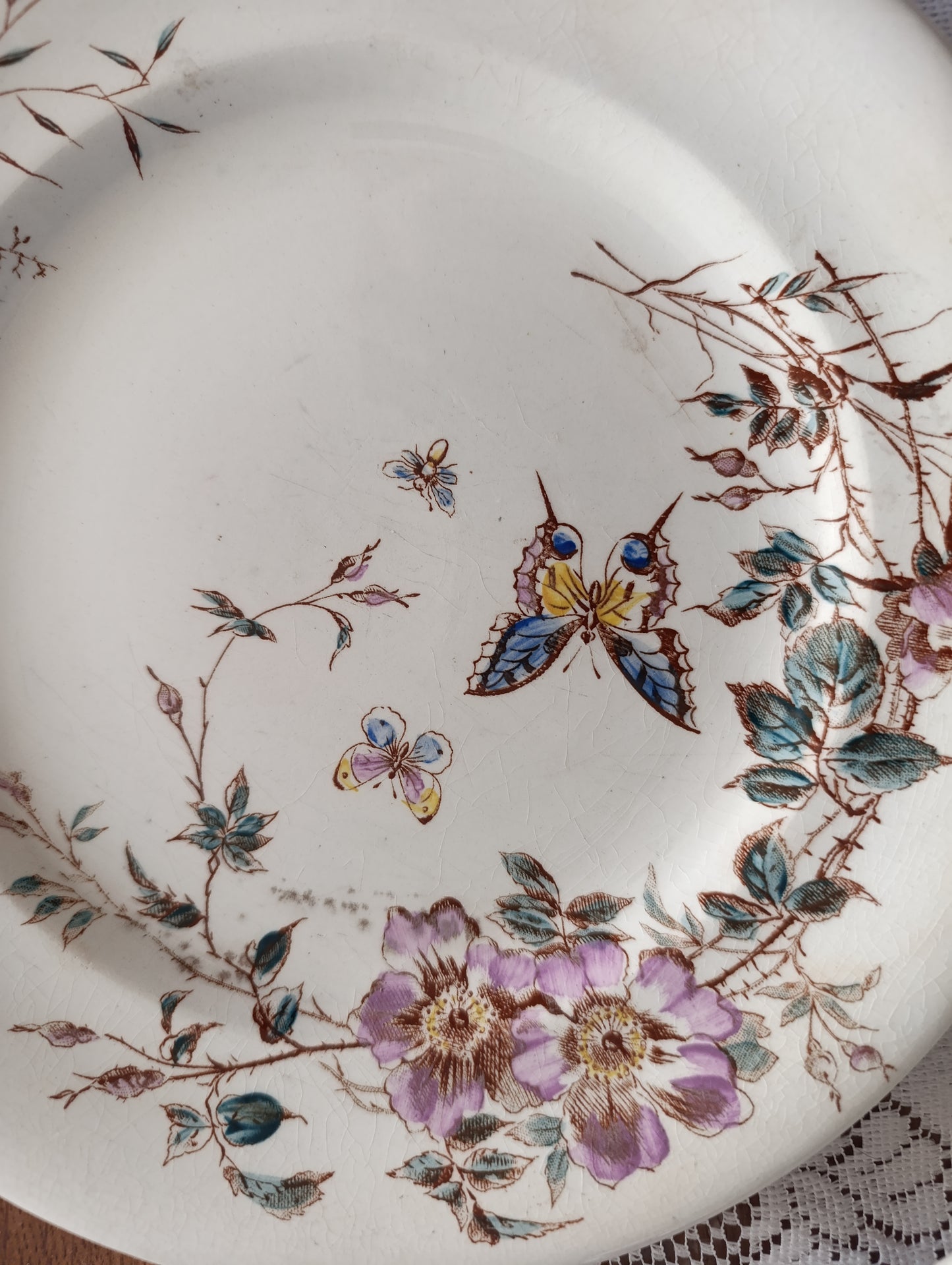 Assiette terre de fer Fleurs des champs SG Clairefontaine