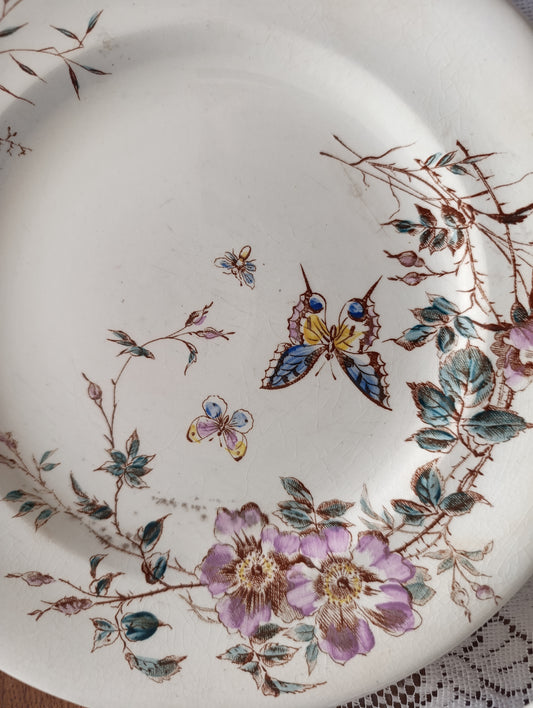 Assiette terre de fer Fleurs des champs SG Clairefontaine