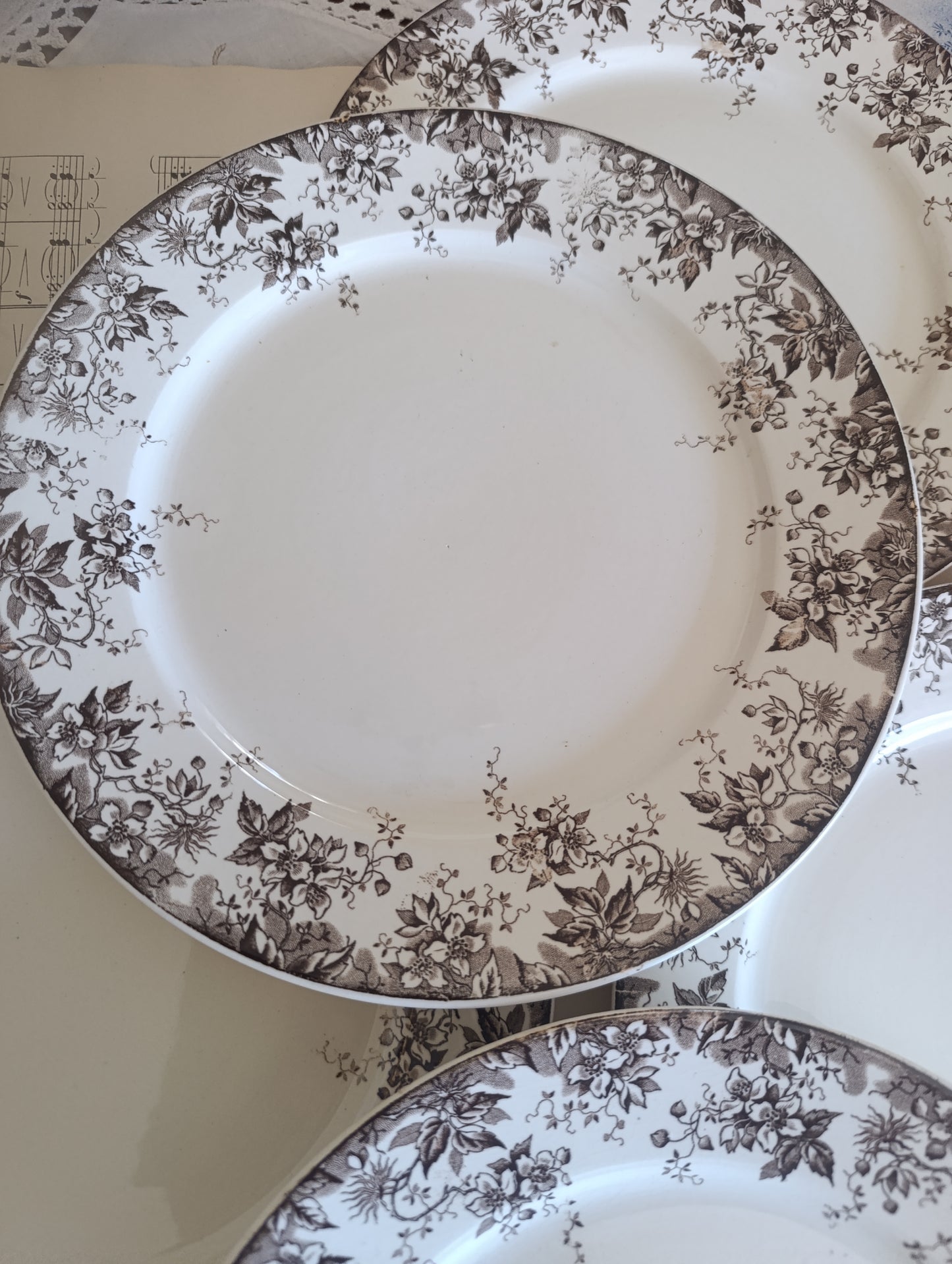 Assiette Alphand Sarreguemines terre de fer sepia
