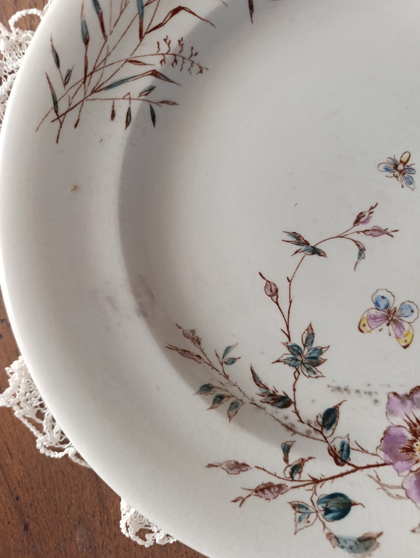 Assiette terre de fer Fleurs des champs SG Clairefontaine
