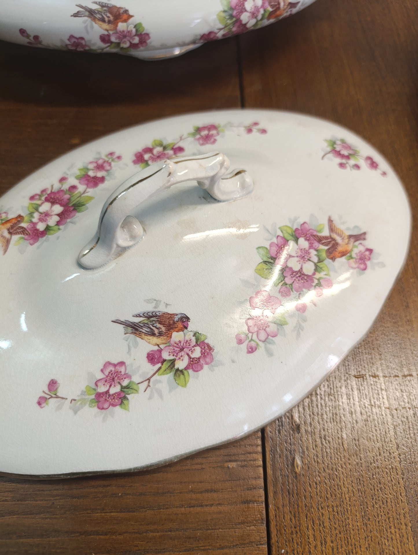 Légumier Oiseau Onnaing