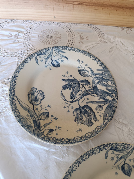 Assiette Gien Tulipe
