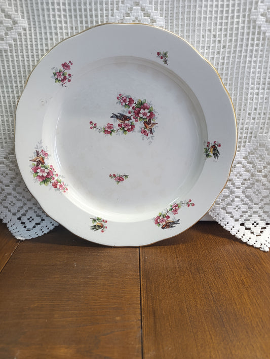 Plat oiseau Onnaing