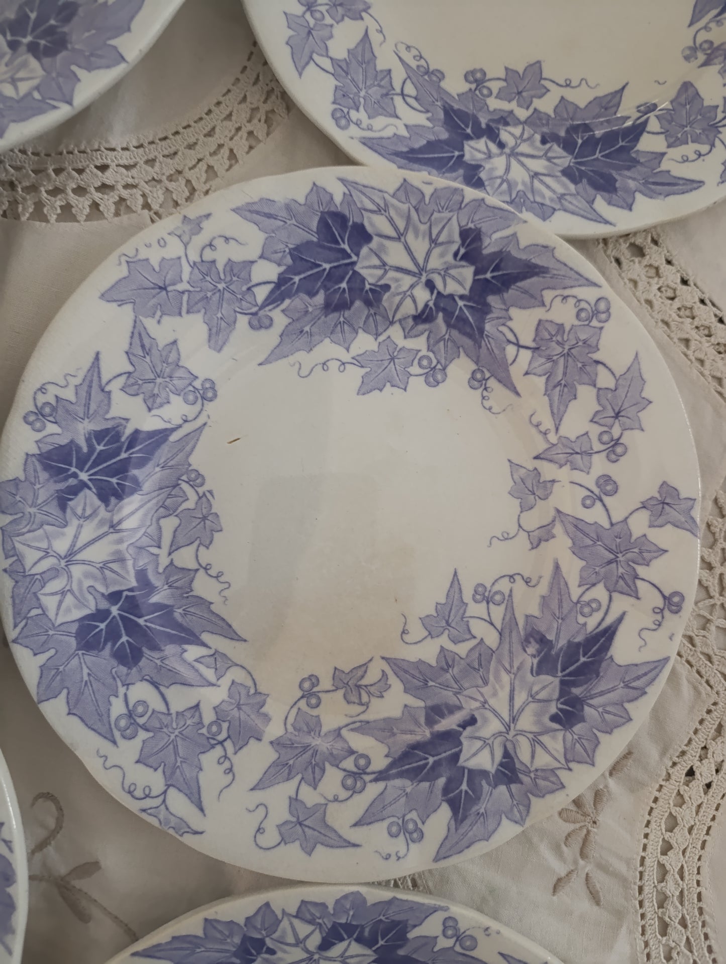 Assiette dessert Bryonia