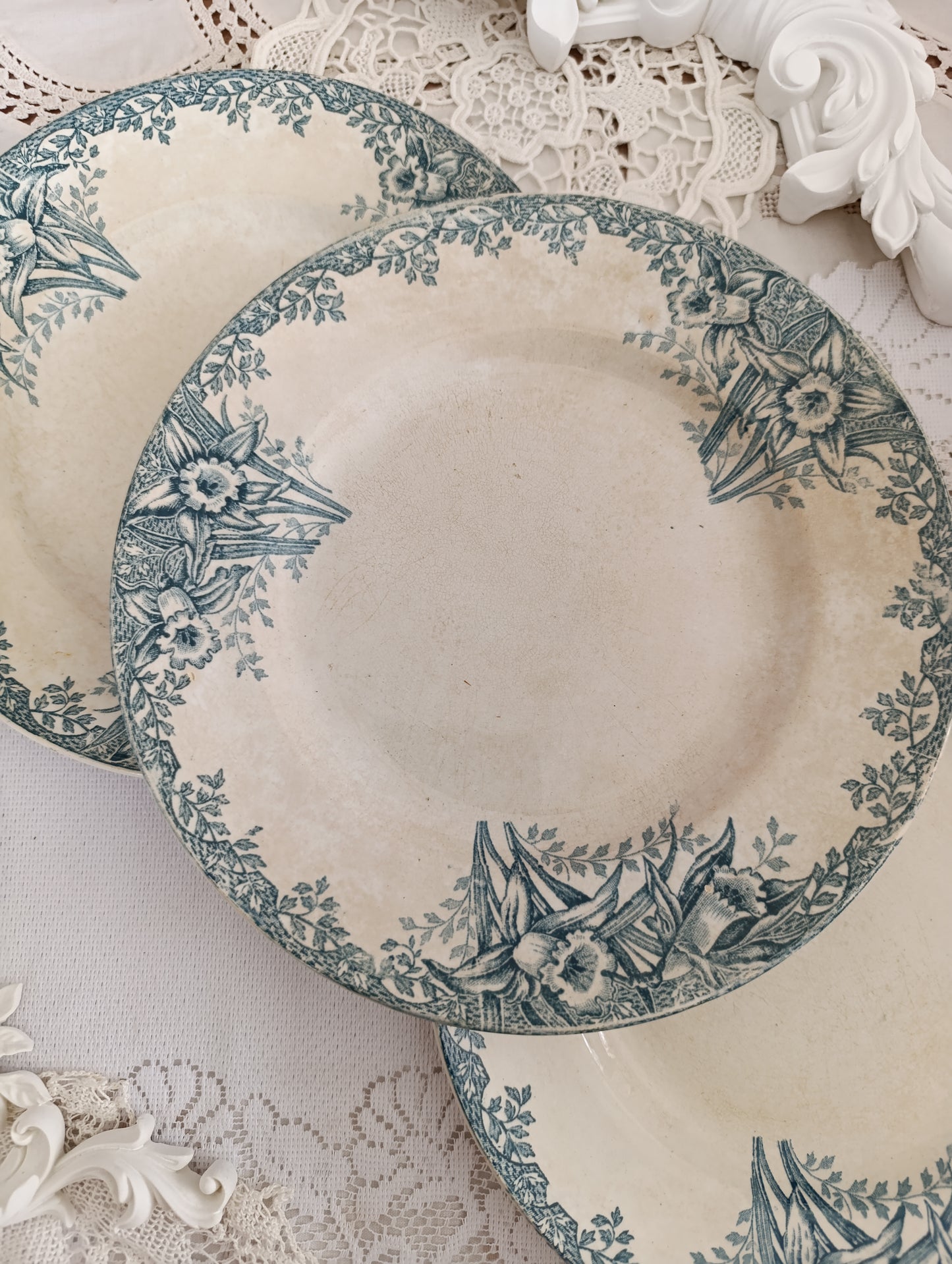 Assiette terre de fer Narcisses
