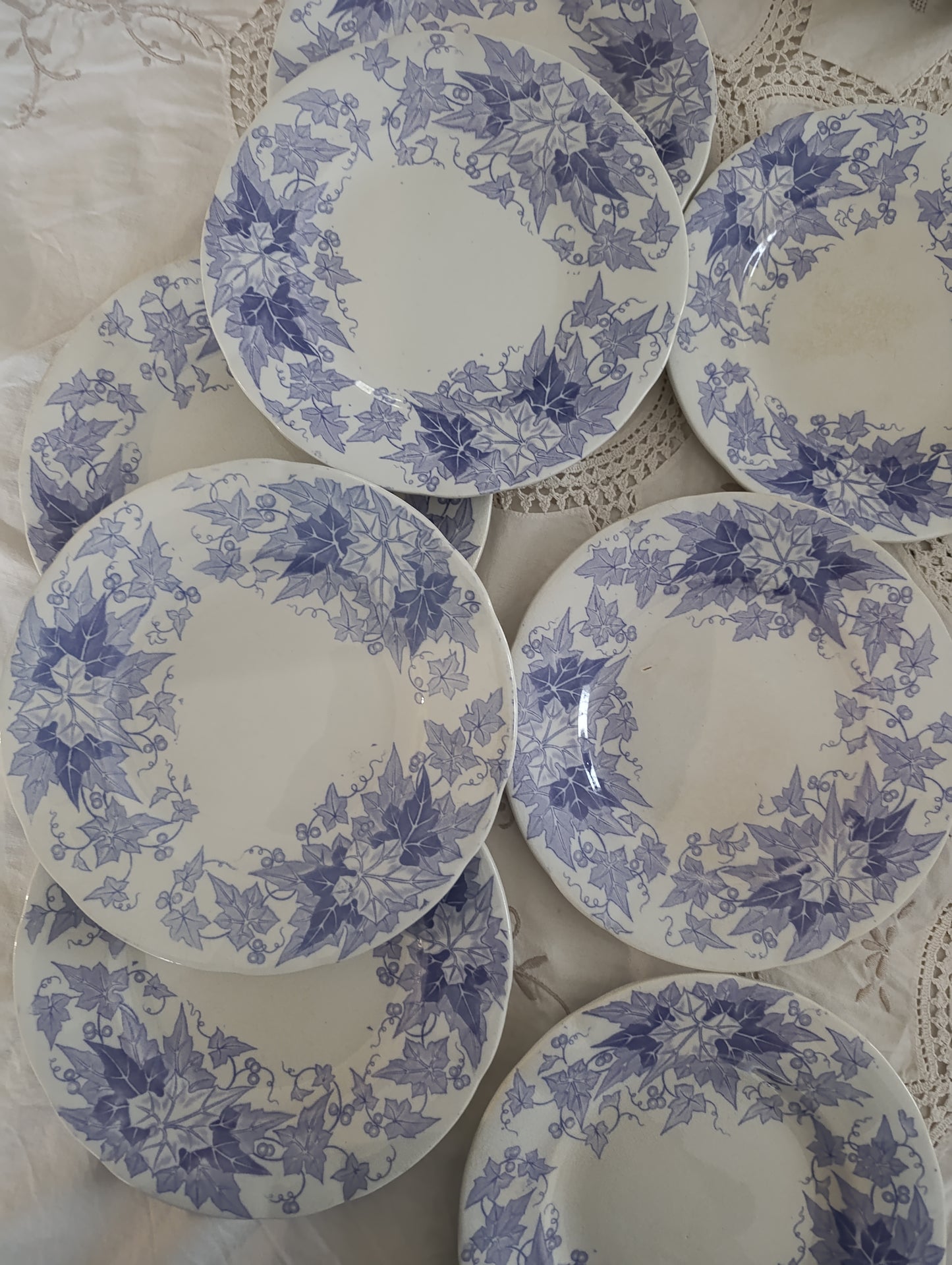 Assiette dessert Bryonia