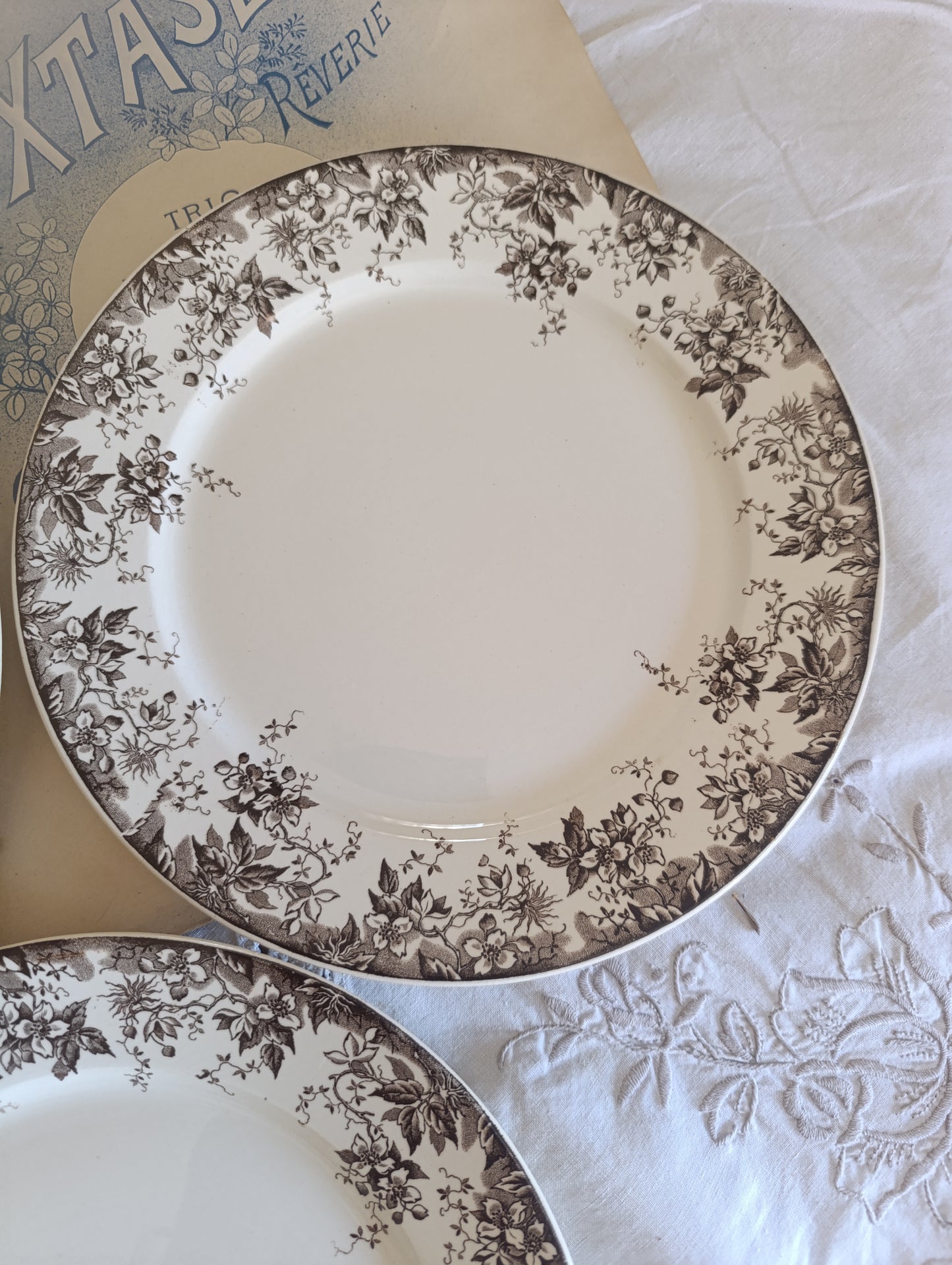Assiette Alphand Sarreguemines terre de fer sepia