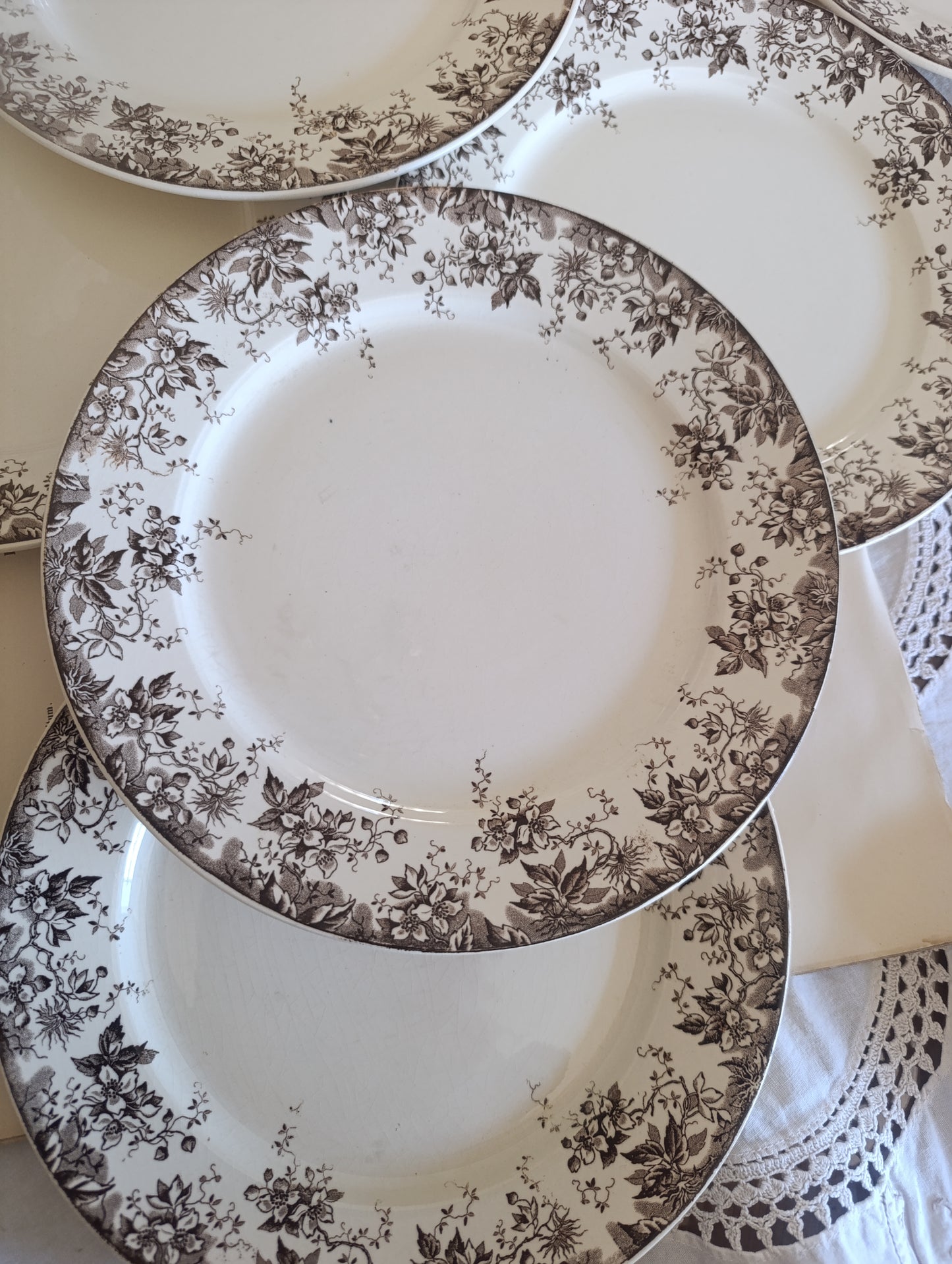 Assiette Alphand Sarreguemines terre de fer sepia
