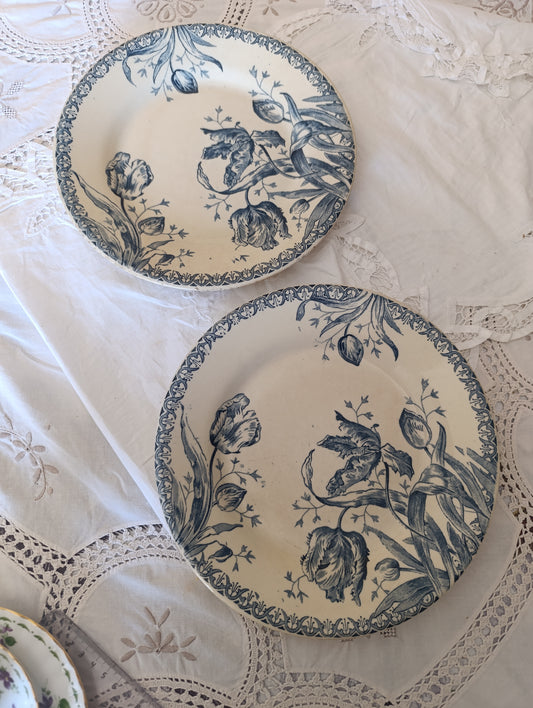 Assiette Gien Tulipe