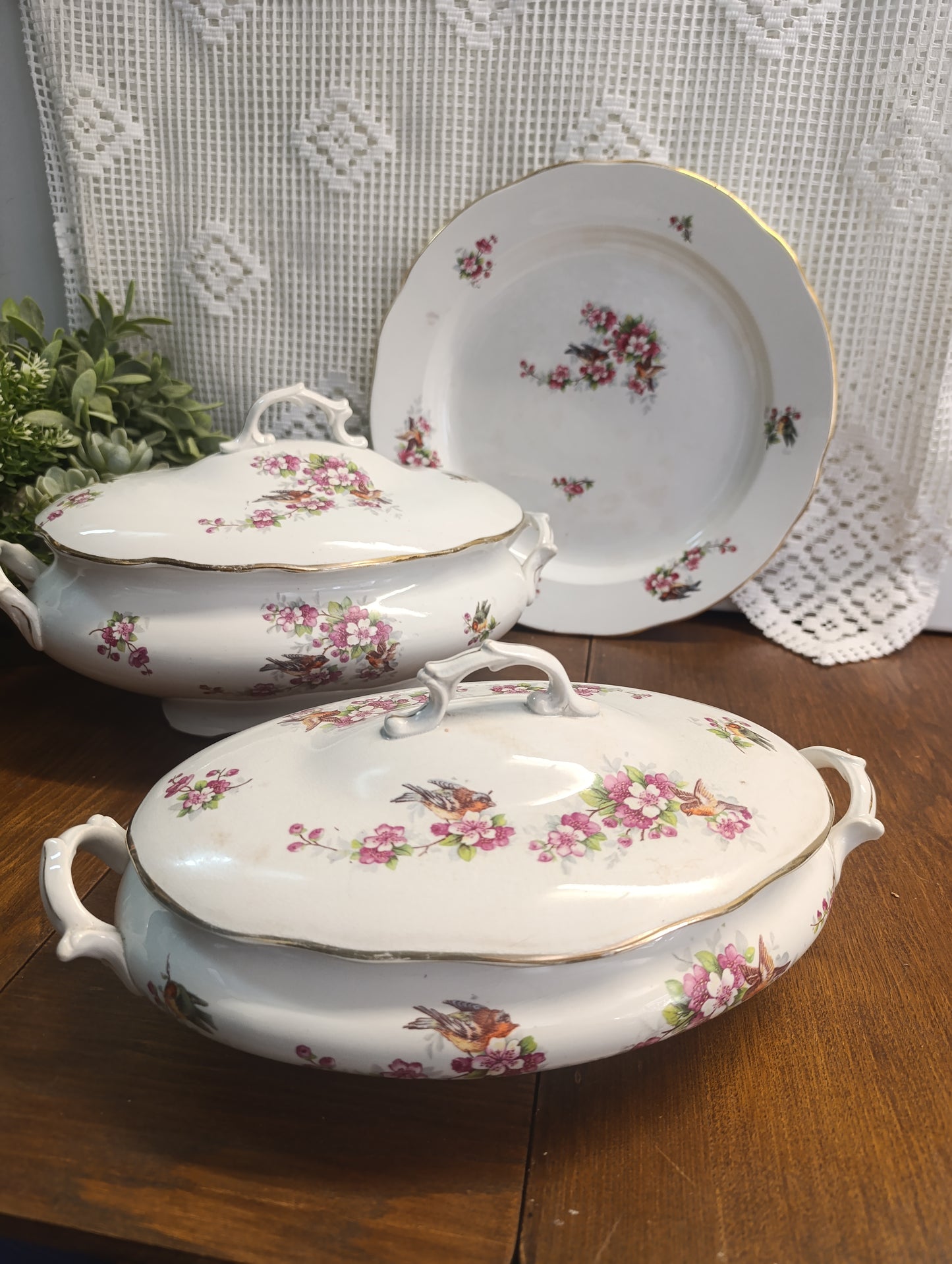 Plat oiseau Onnaing