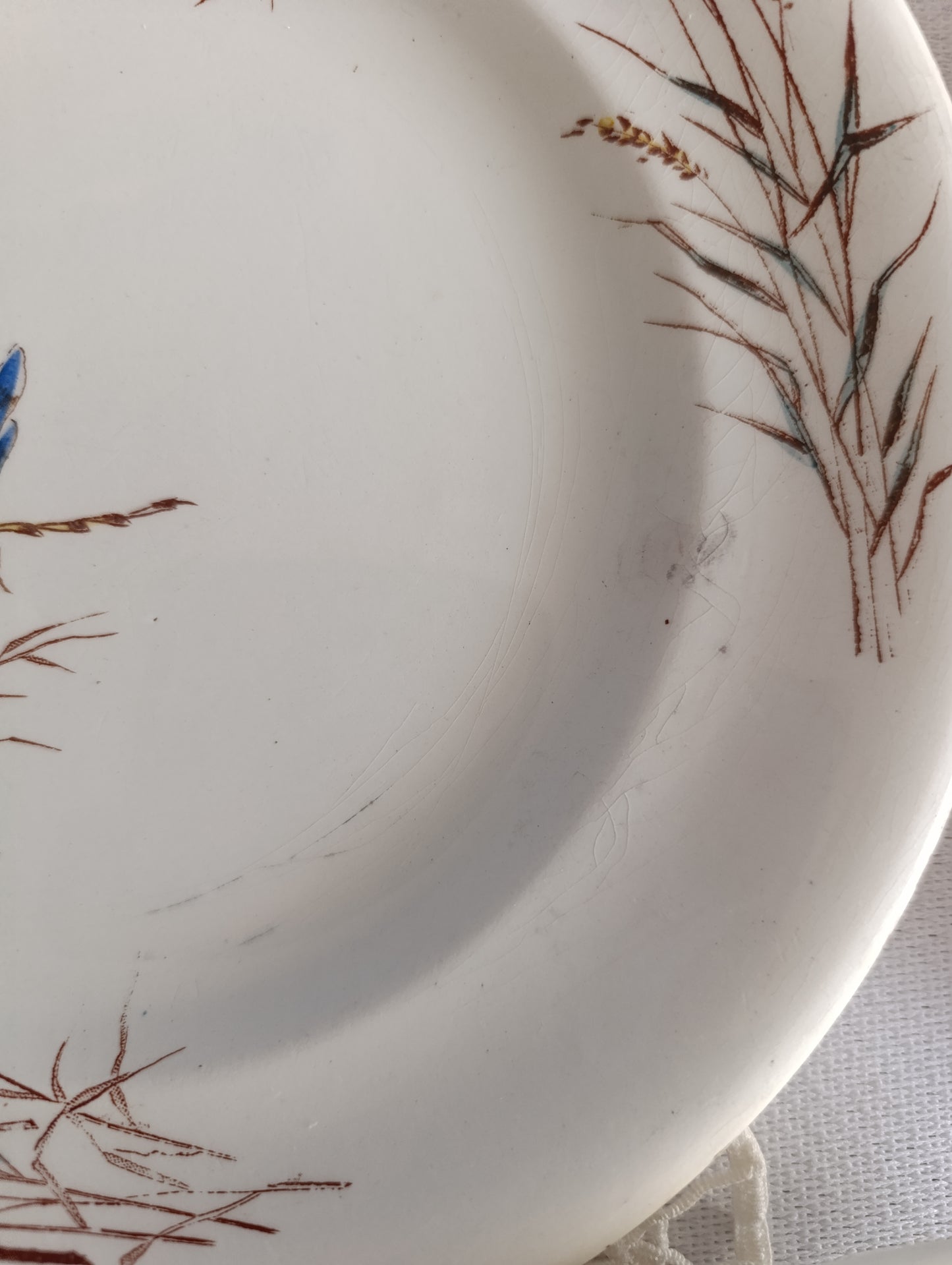 Assiette terre de fer Fleurs des champs SG Clairefontaine