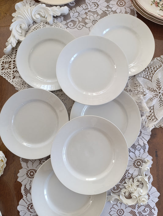 Assiette plate terre de fer china Sarreguemines blanches