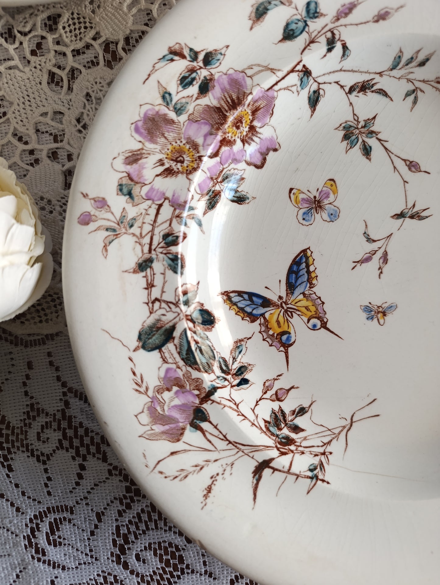 Assiette terre de fer Fleurs des champs SG Clairefontaine