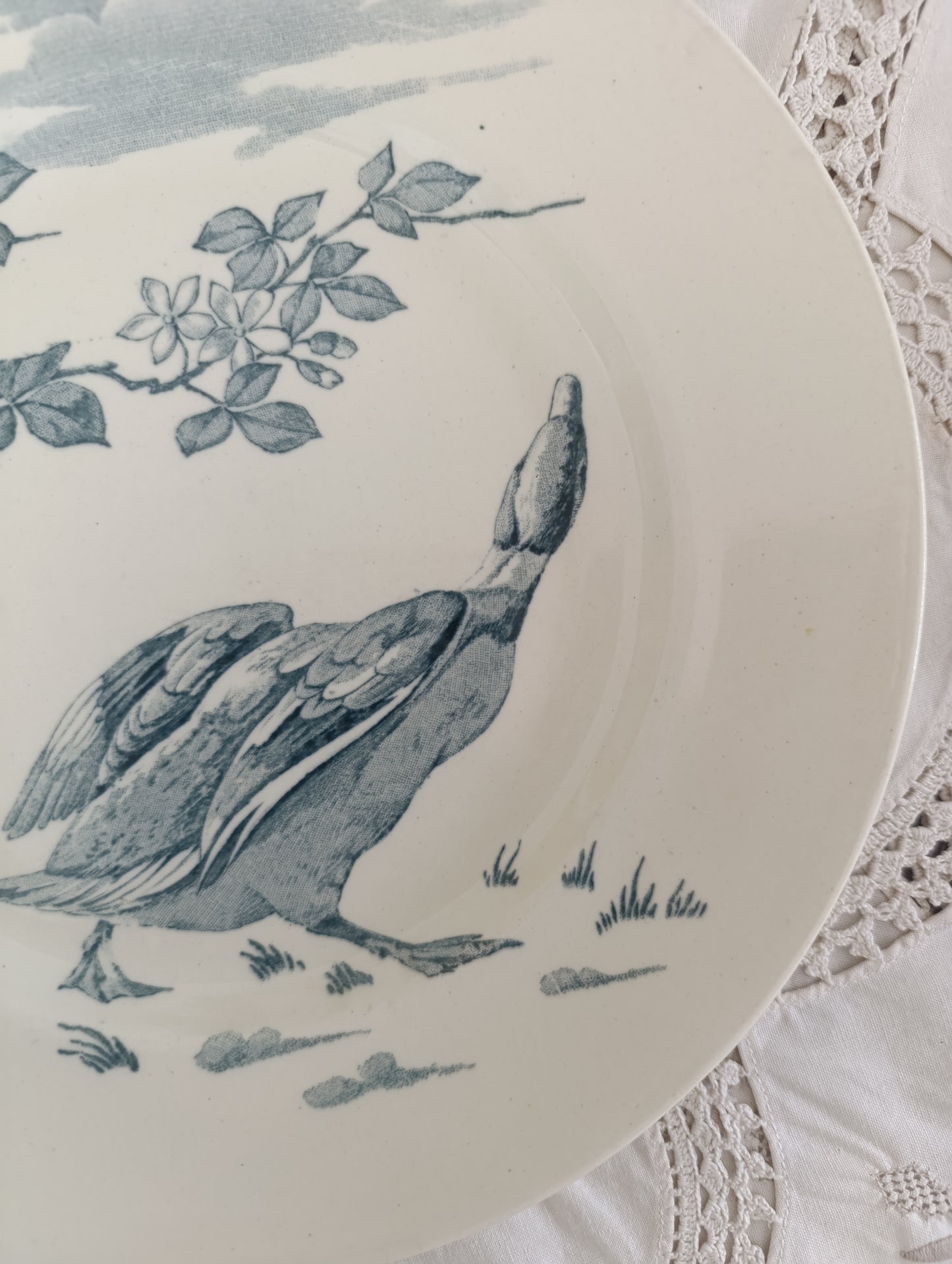 Assiette Oiseau Terre de fer KG Lunéville