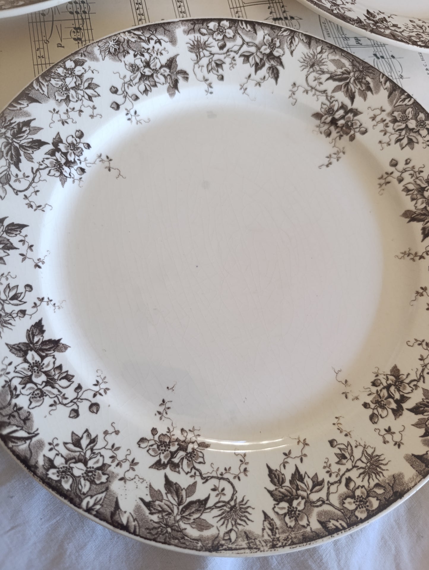 Assiette Alphand Sarreguemines terre de fer sepia