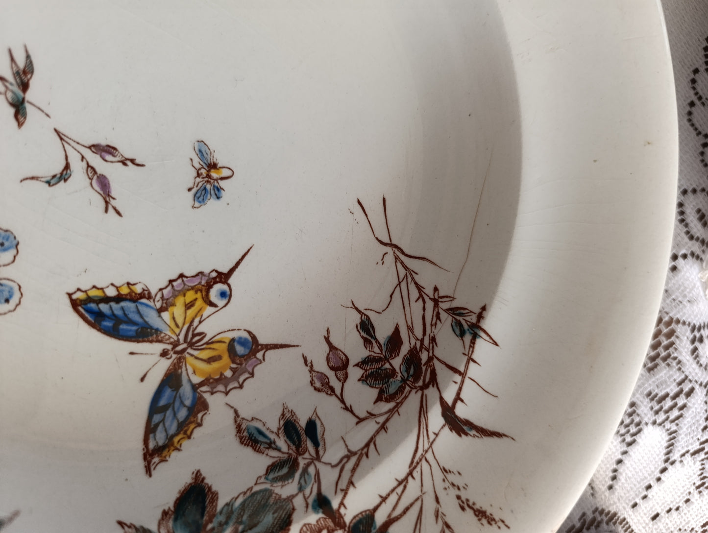 Assiette terre de fer Fleurs des champs SG Clairefontaine