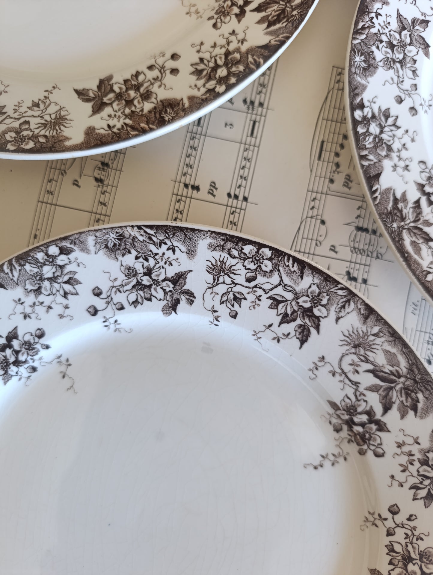 Assiette Alphand Sarreguemines terre de fer sepia