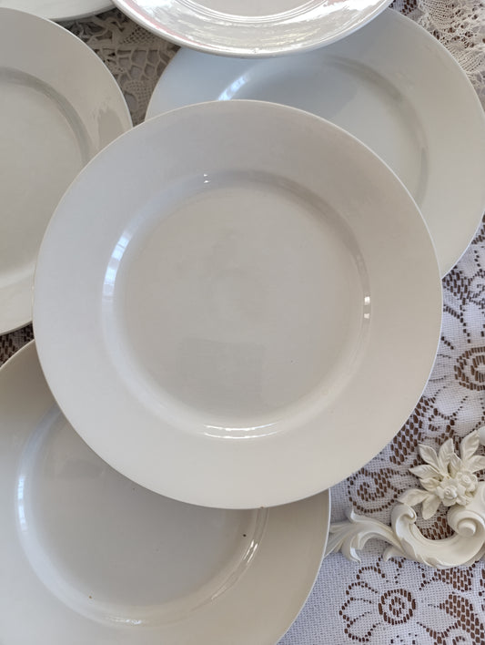 Assiette plate terre de fer china Sarreguemines blanches