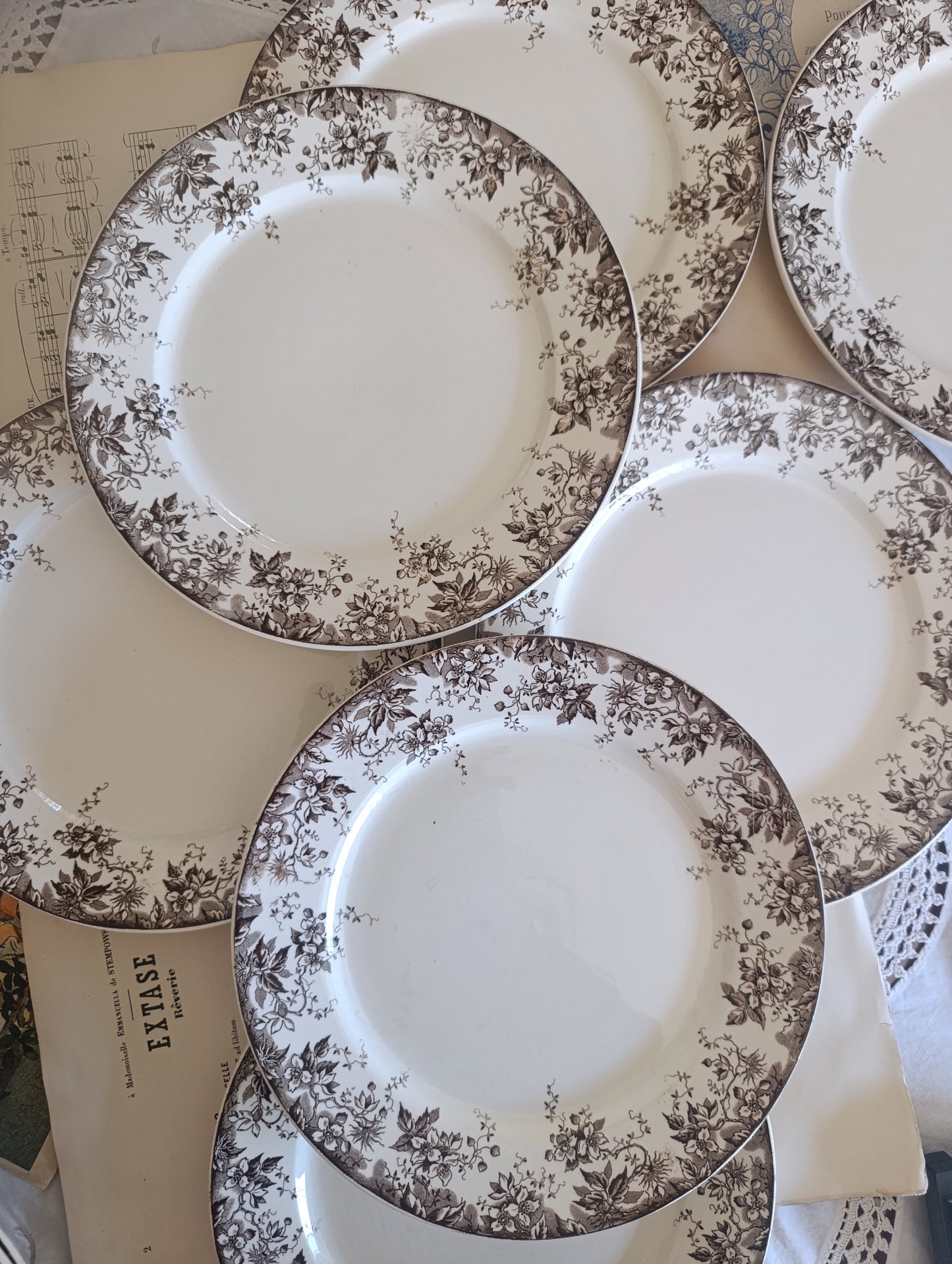 Assiette Alphand Sarreguemines terre de fer sepia