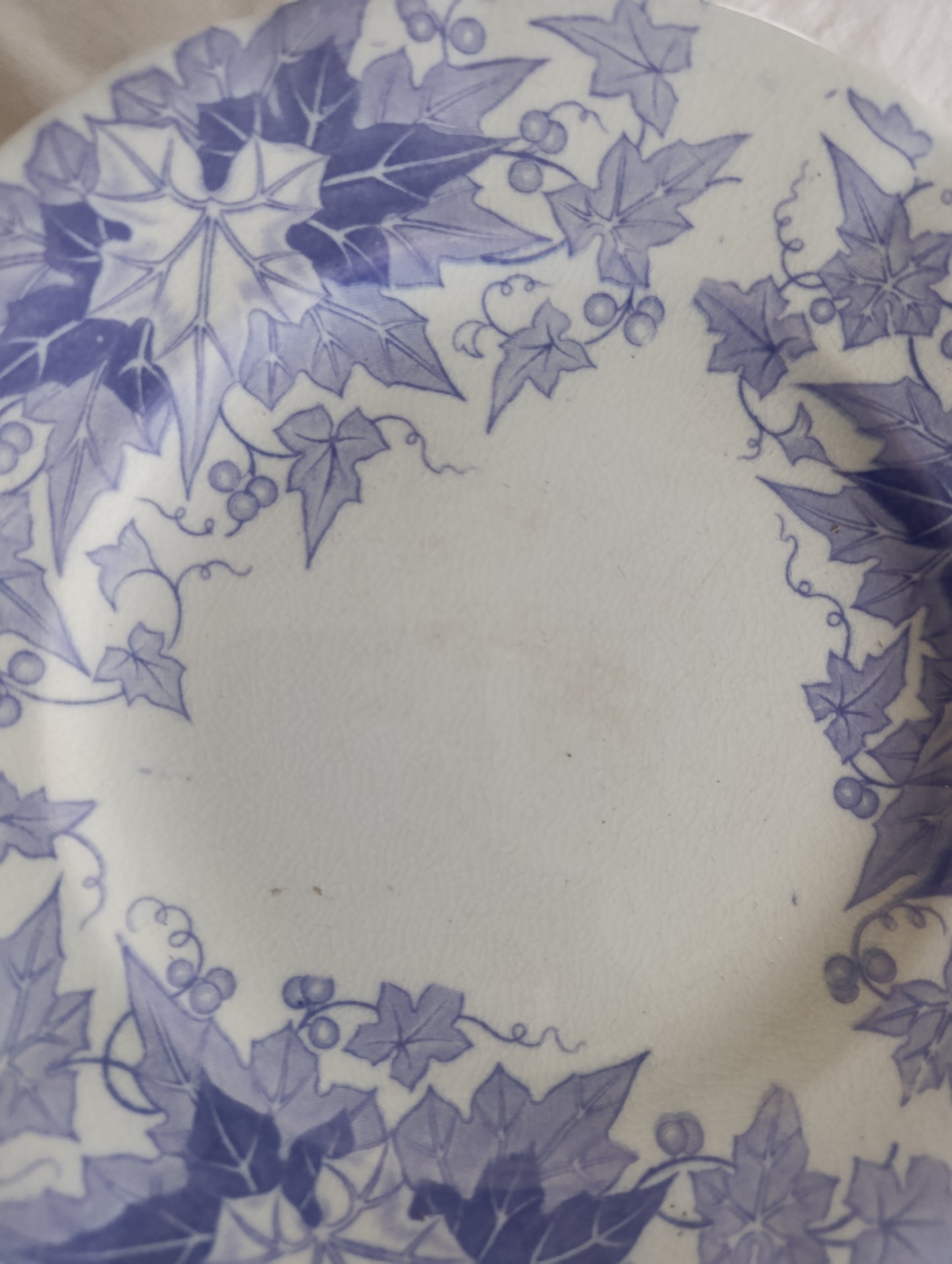 Assiette dessert Bryonia