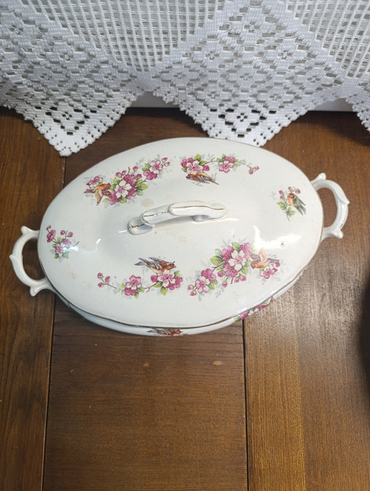 Légumier Oiseau Onnaing