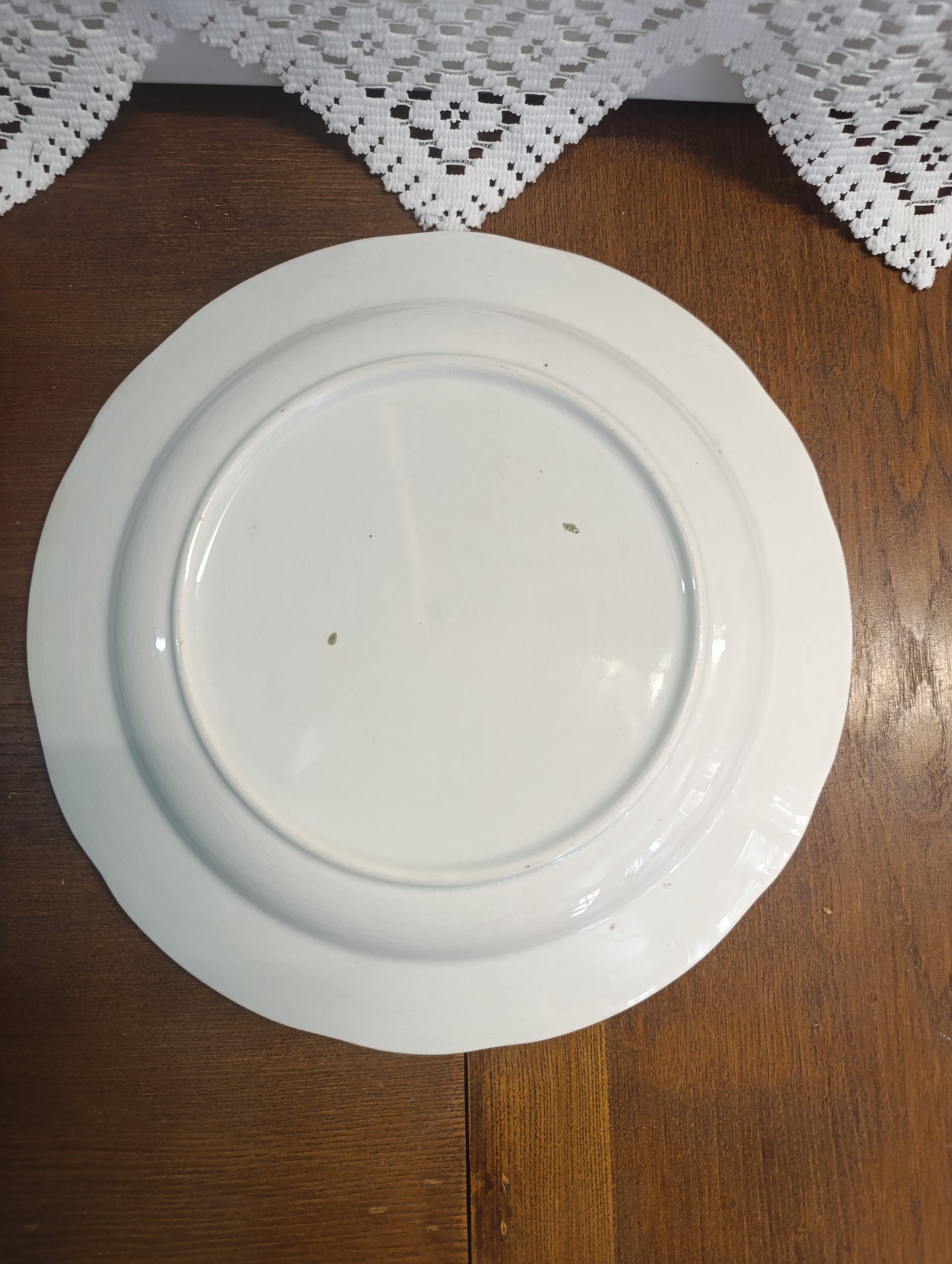 Plat oiseau Onnaing