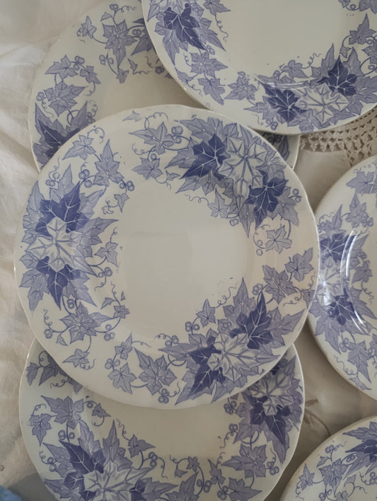 Assiette dessert Bryonia