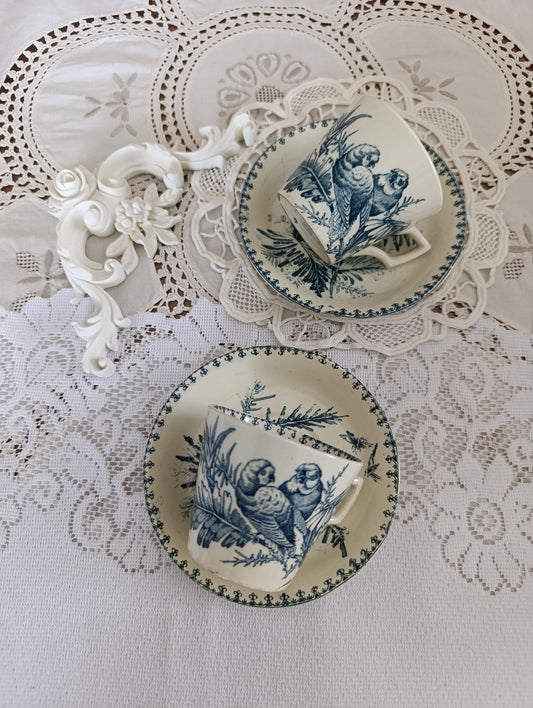Tasse perruche KG Luneville